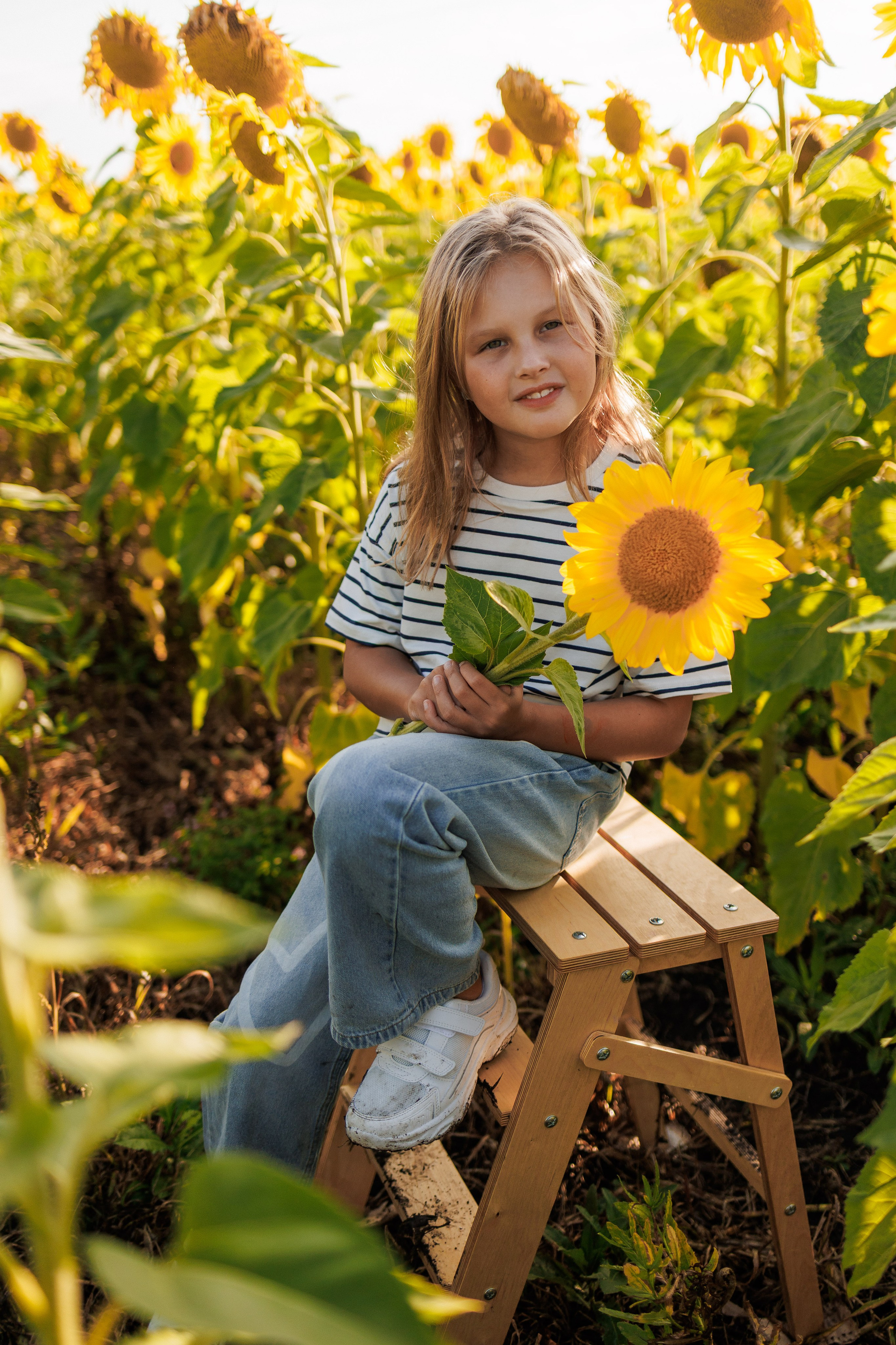 В поле подсолнухов. Семейный фотограф г. Тюмень