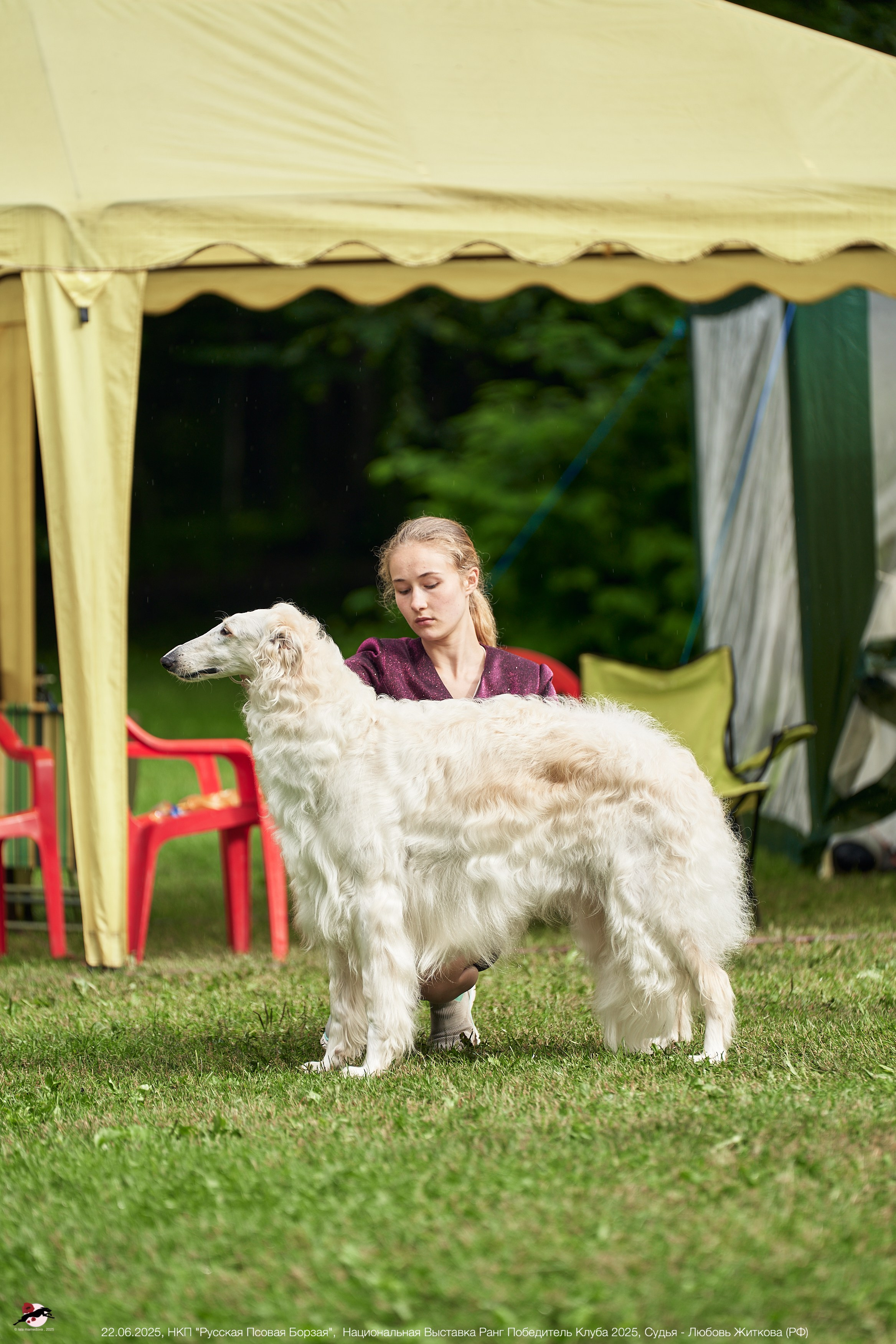 22.06.2025 | Национальная Выставка НКП "Русская Псовая Борзая"