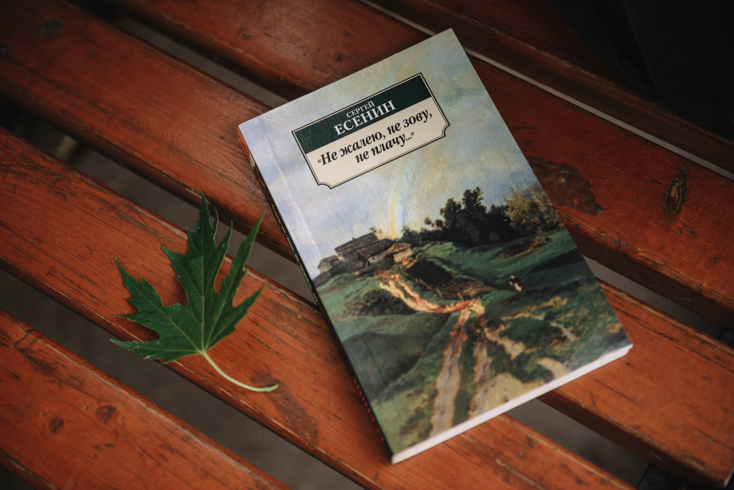 Бронислав Шинкарев Не жалею, не зову, не плачу. Душевная фотография от сердца к сердцу Марина Жиделева фотограф Москва