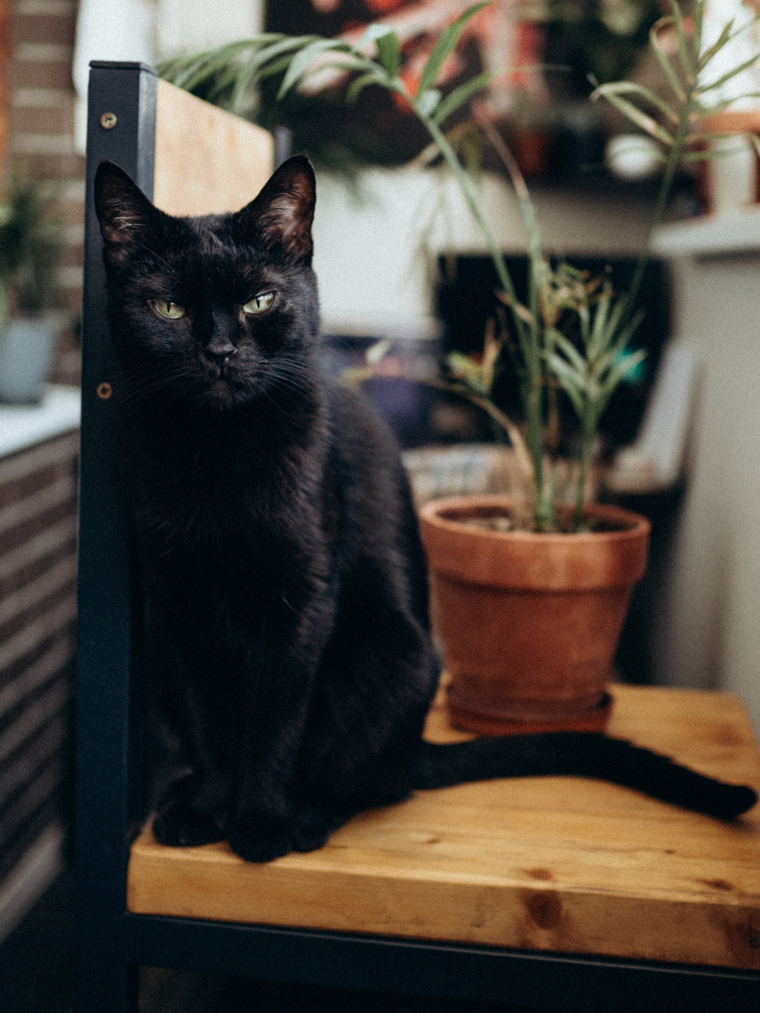 Парная фотосессия в домашних условиях