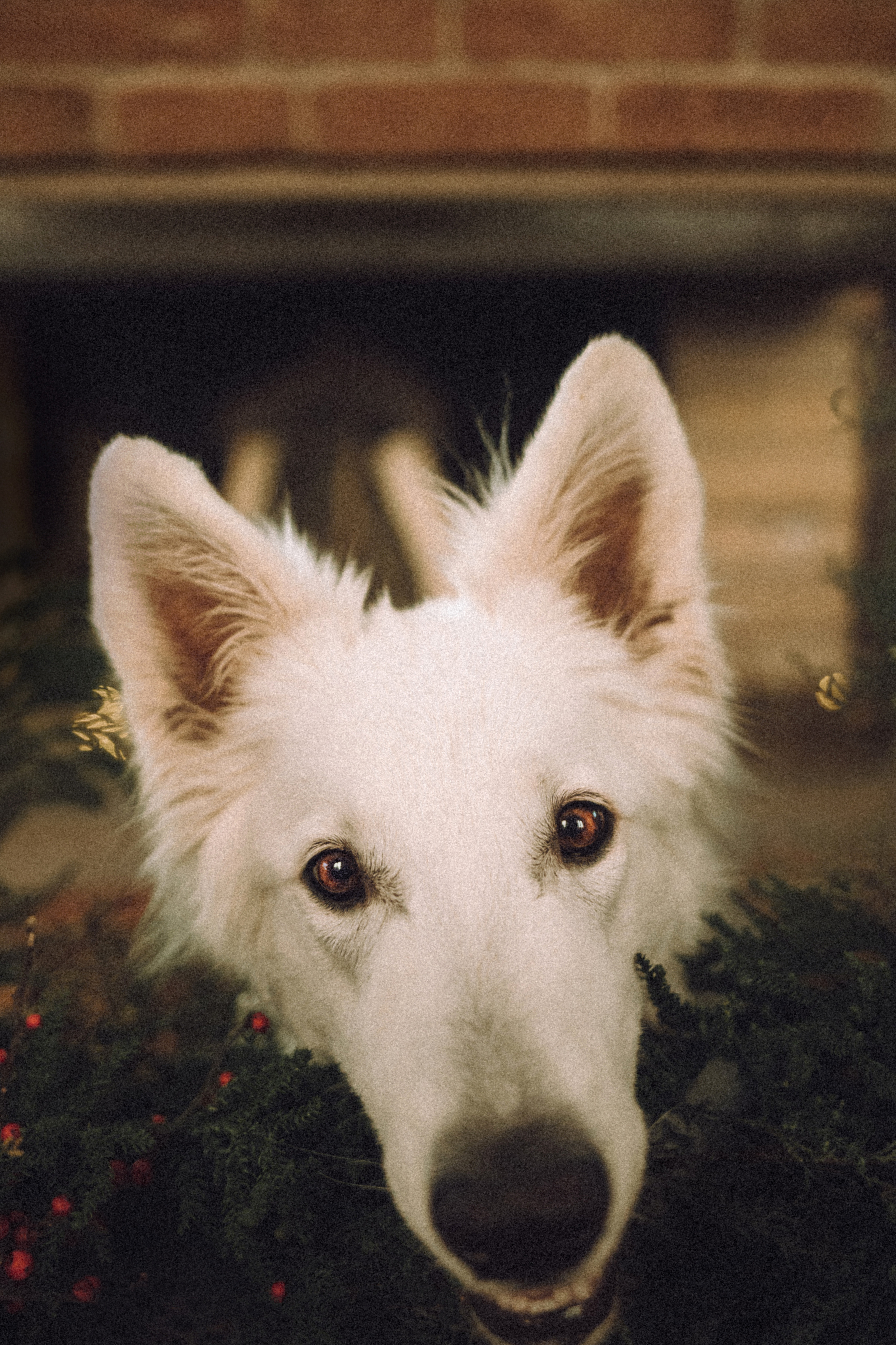 Фотосессия Оли, Саши и БШО Юки