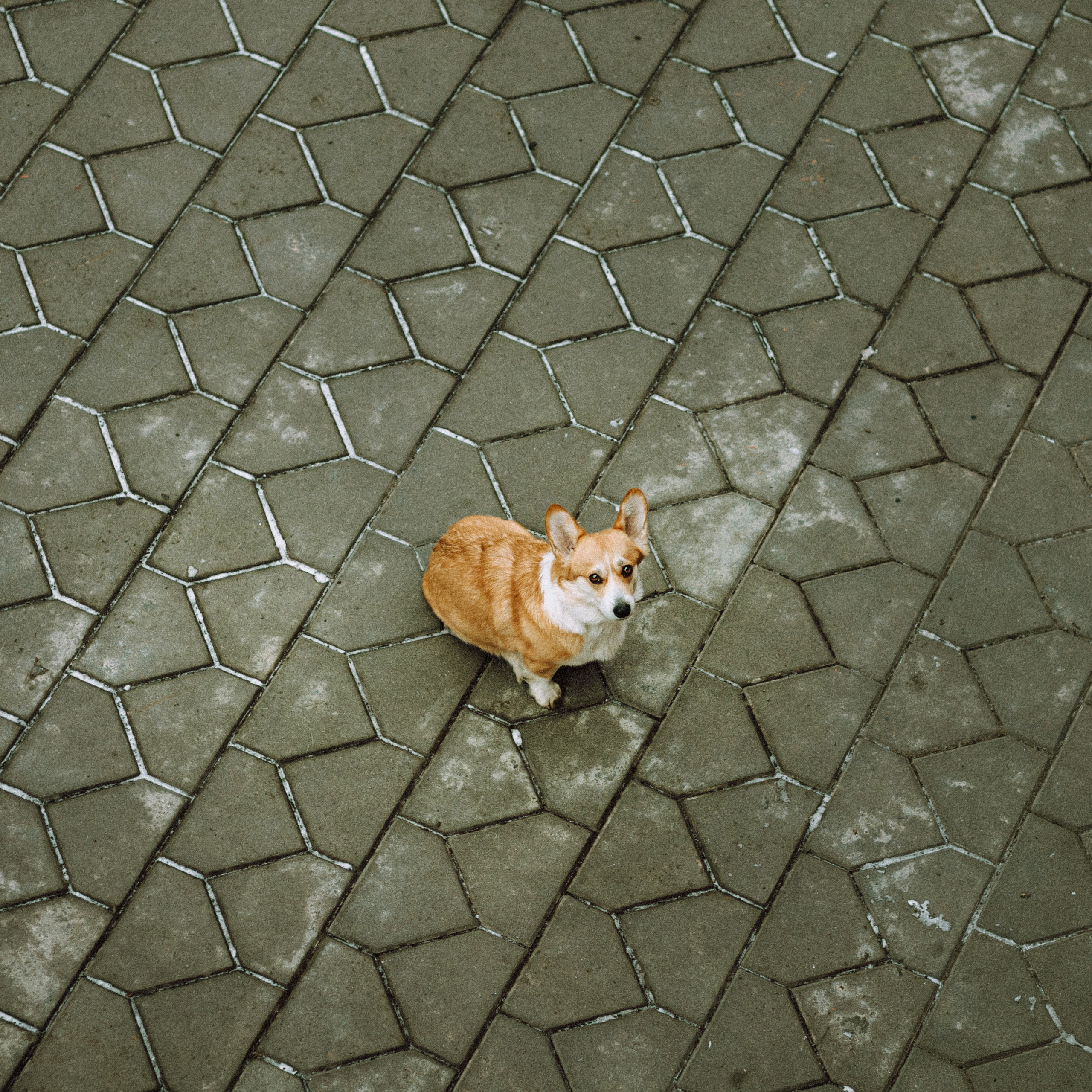 Настя и Ева