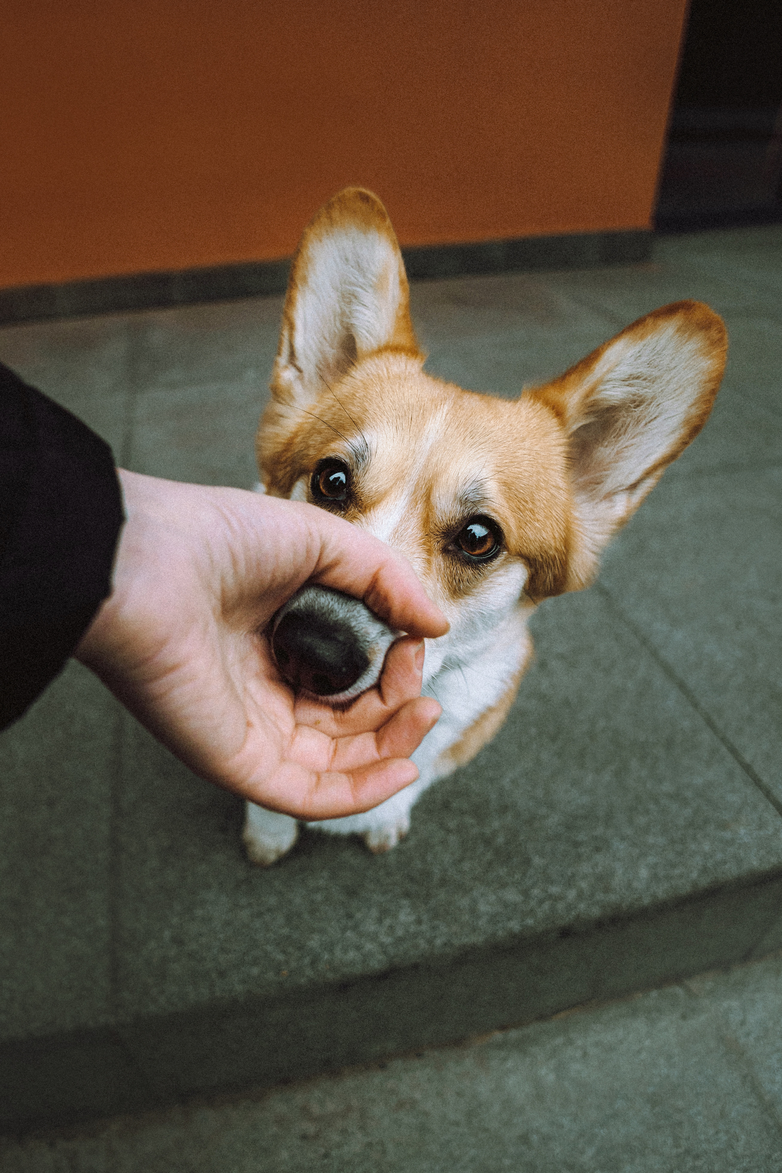 Настя и Ева