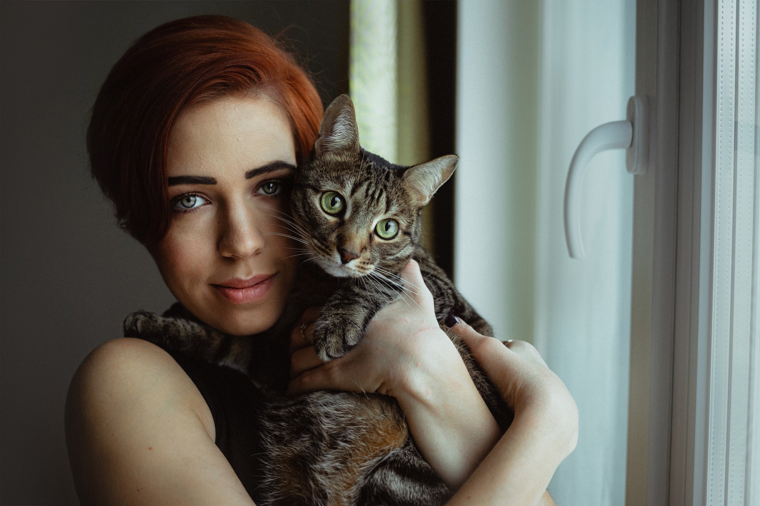 Фотосессия котика Чили и его семьи