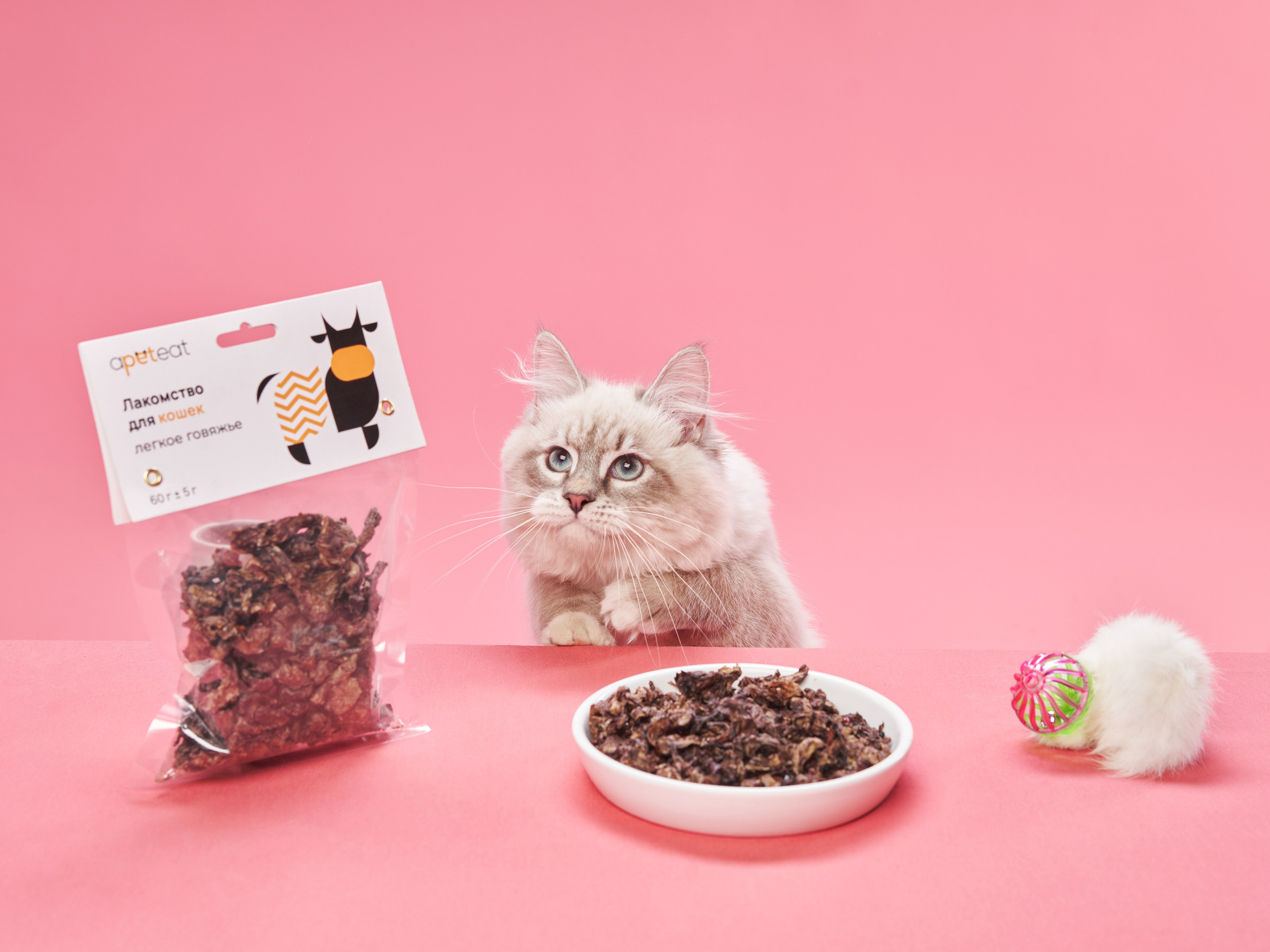 Pet Advertising Photography | Commercial Shoots with Dogs & Cats. Dog photographer Averianova Anna — Art photography of dogs
