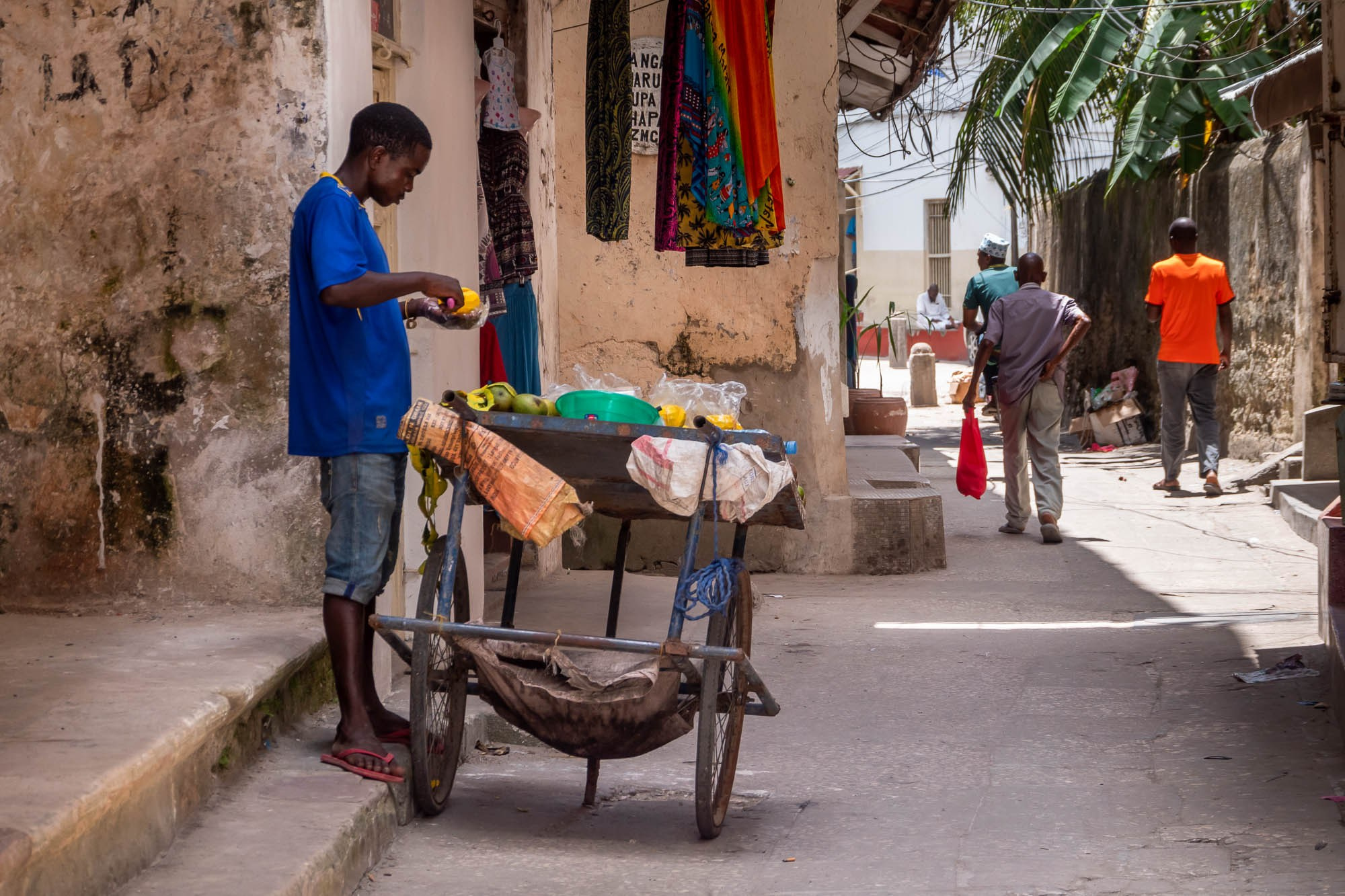 Остров Занзибар, г. Стоун Таун (Занзибар) Zanzibar Island, Stone Town (Zanzibar). Фотограф Алексей Скоробогатько
