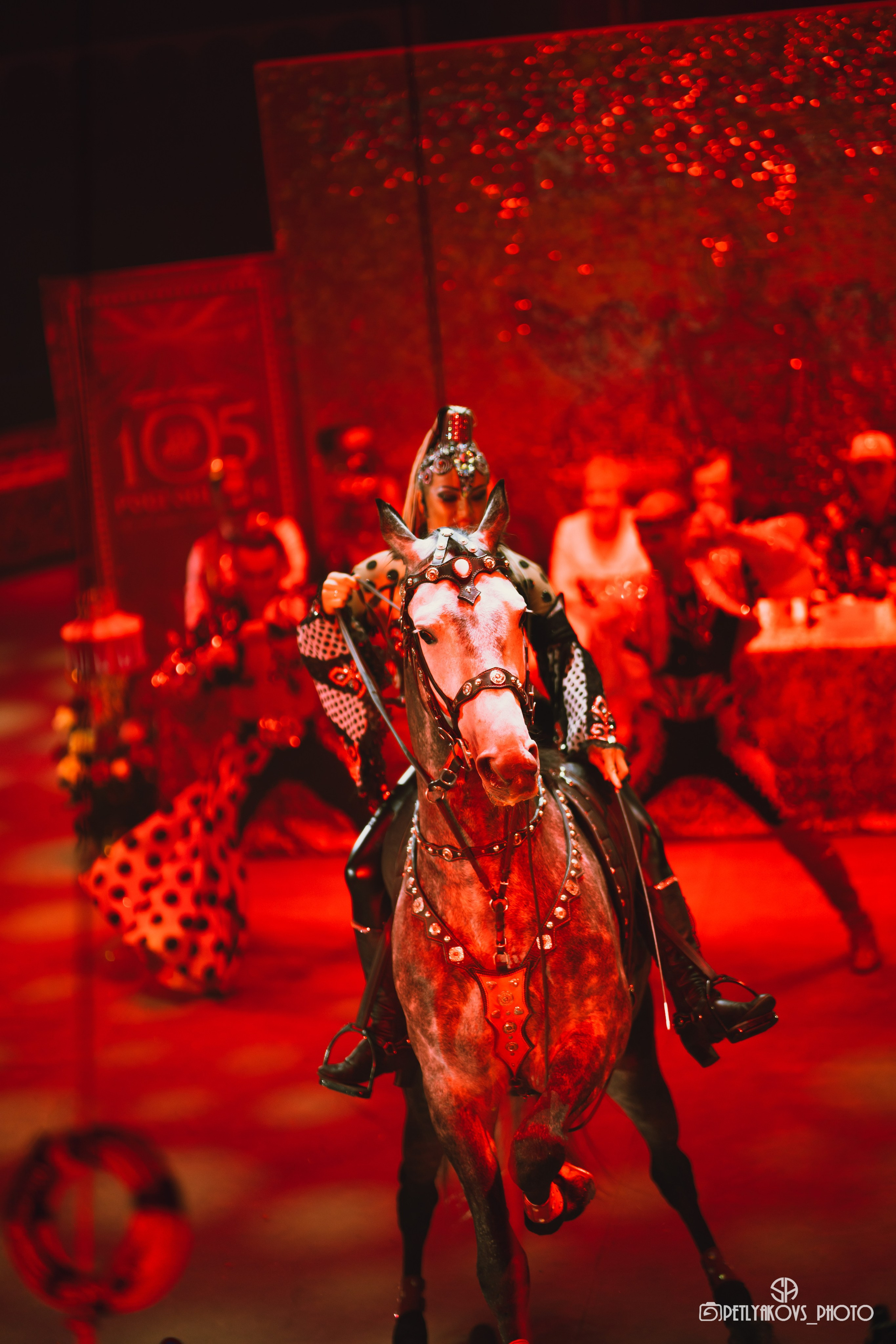 Пресс-конференция циркового шоу Гии Эрадзе «Бурлеск» (репортаж). Фотограф, видеограф Пятигорск, Ставрополь, Ессентуки, Petlyakovs_photo