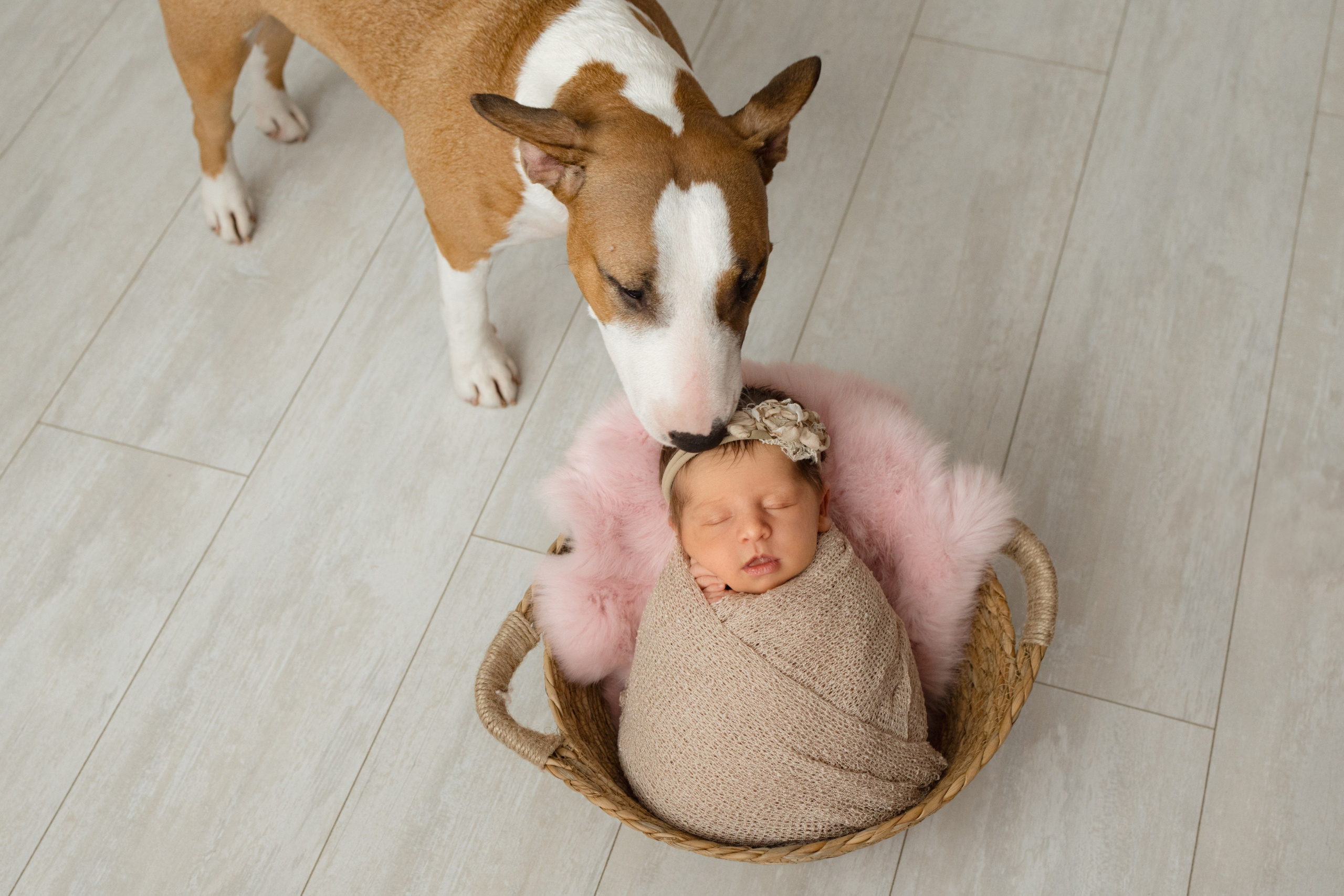 Фотограф newborn Красноярск