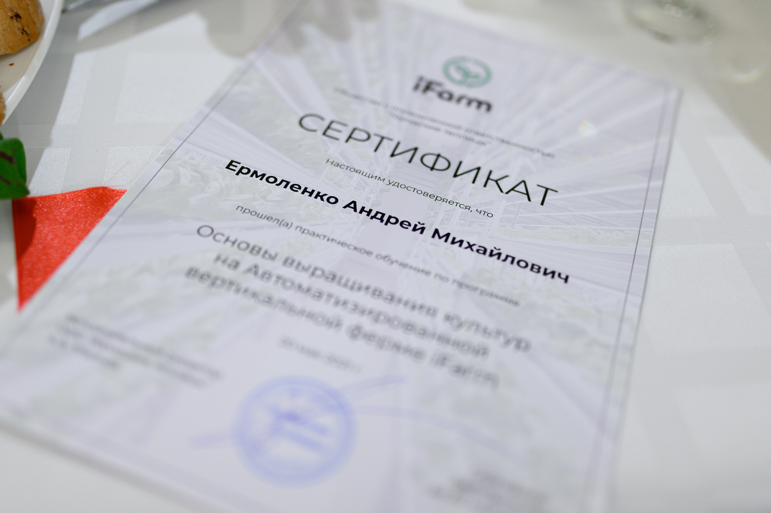 Репортажная фотосъёмка. Свадебный фотограф в Красноярске