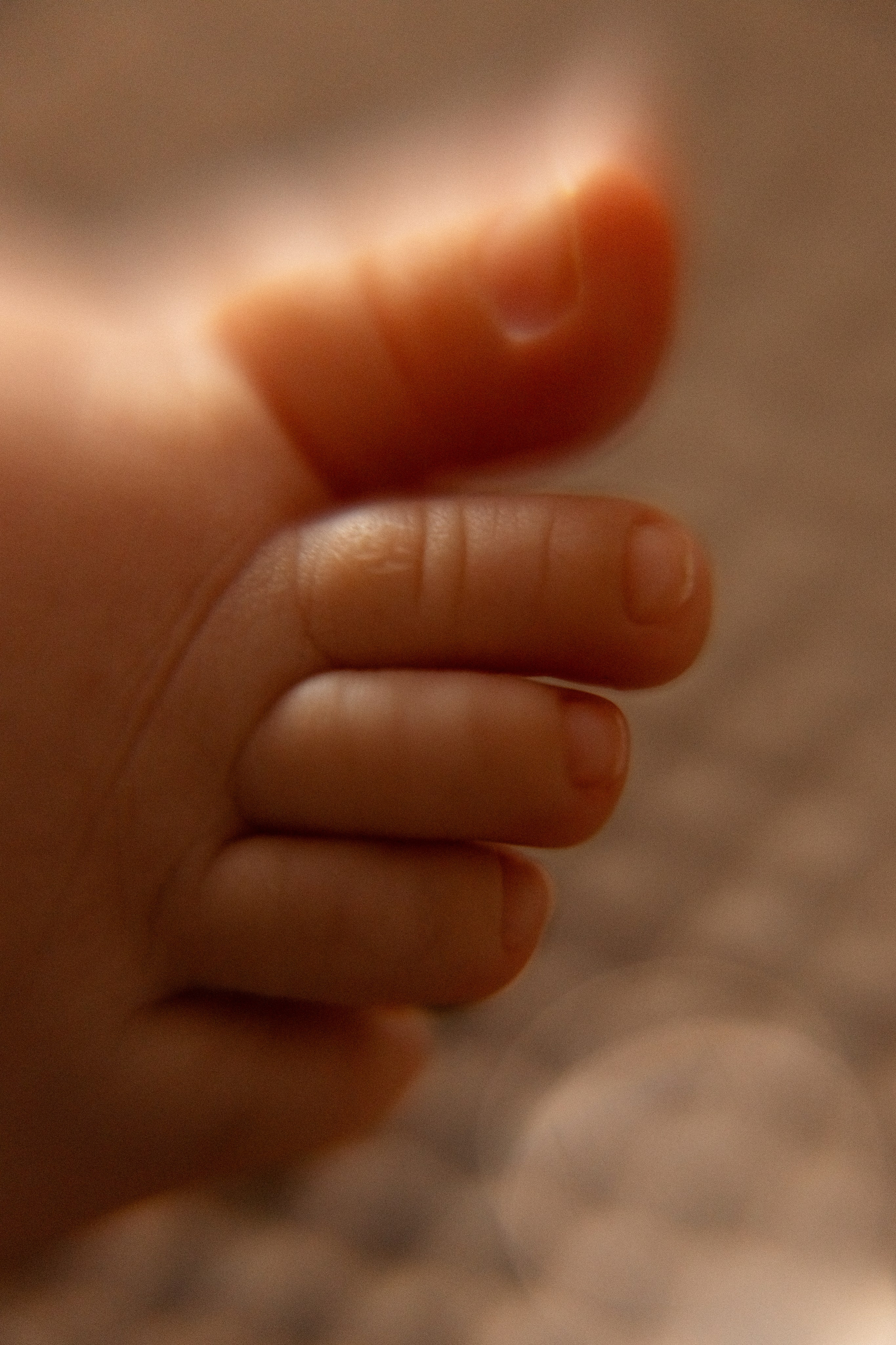 ДОМАШНИЕ ИСТОРИИ. Мария Махинина — фотограф в Мурманске и Североморске