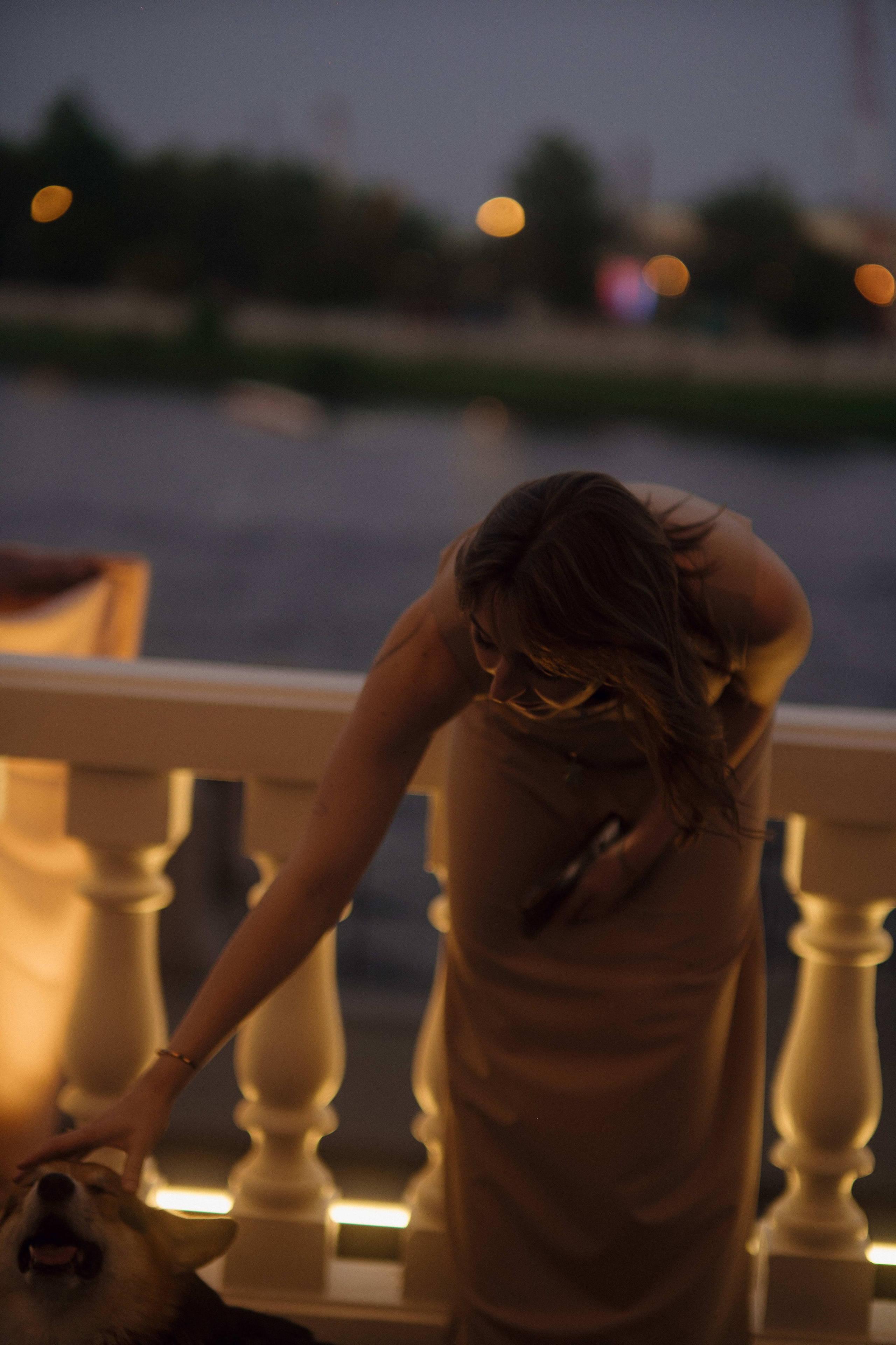 Love&Paws. Сентиментальная свадебная фотография