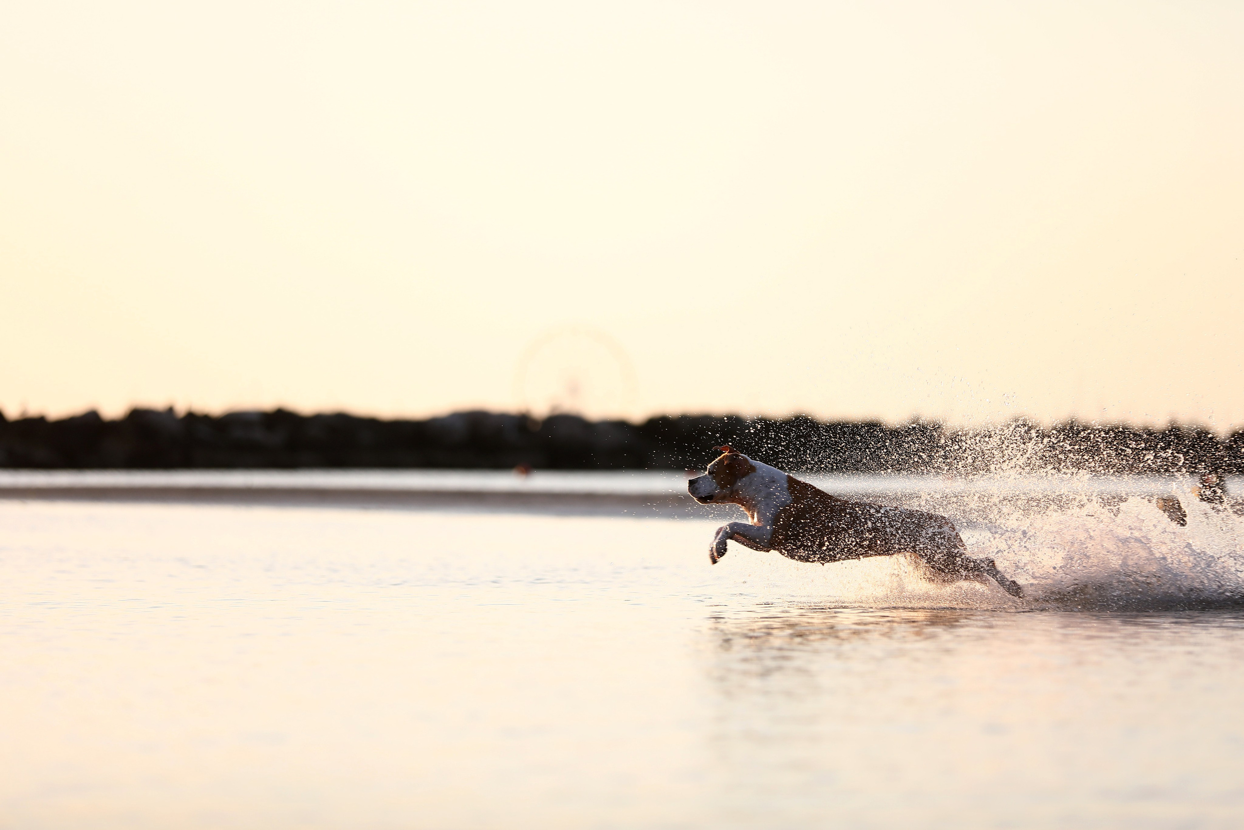 Фотограф Дмитрий Бородин