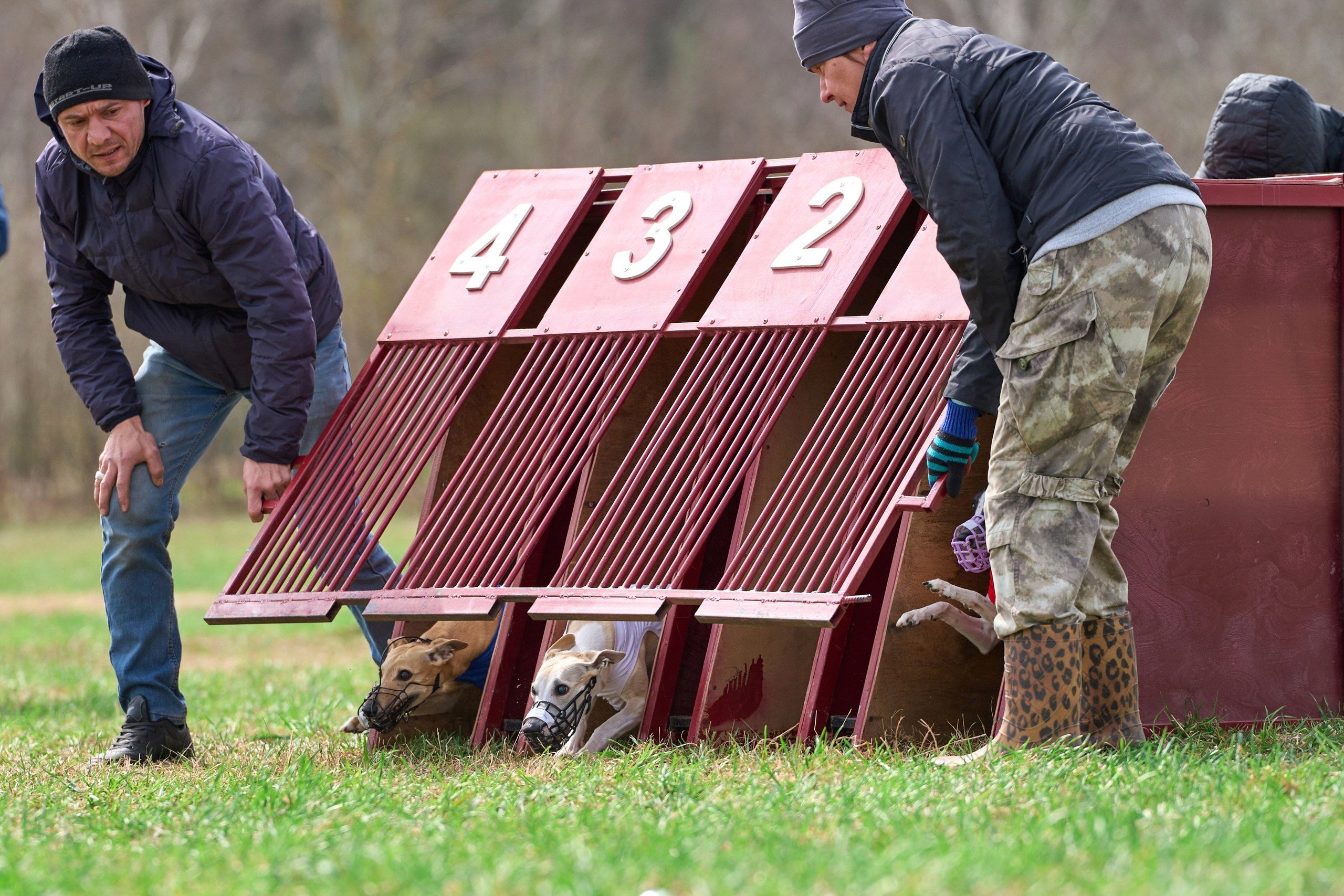 Квалификация по рейсингу. Фотограф-анималист Михаил Манухин