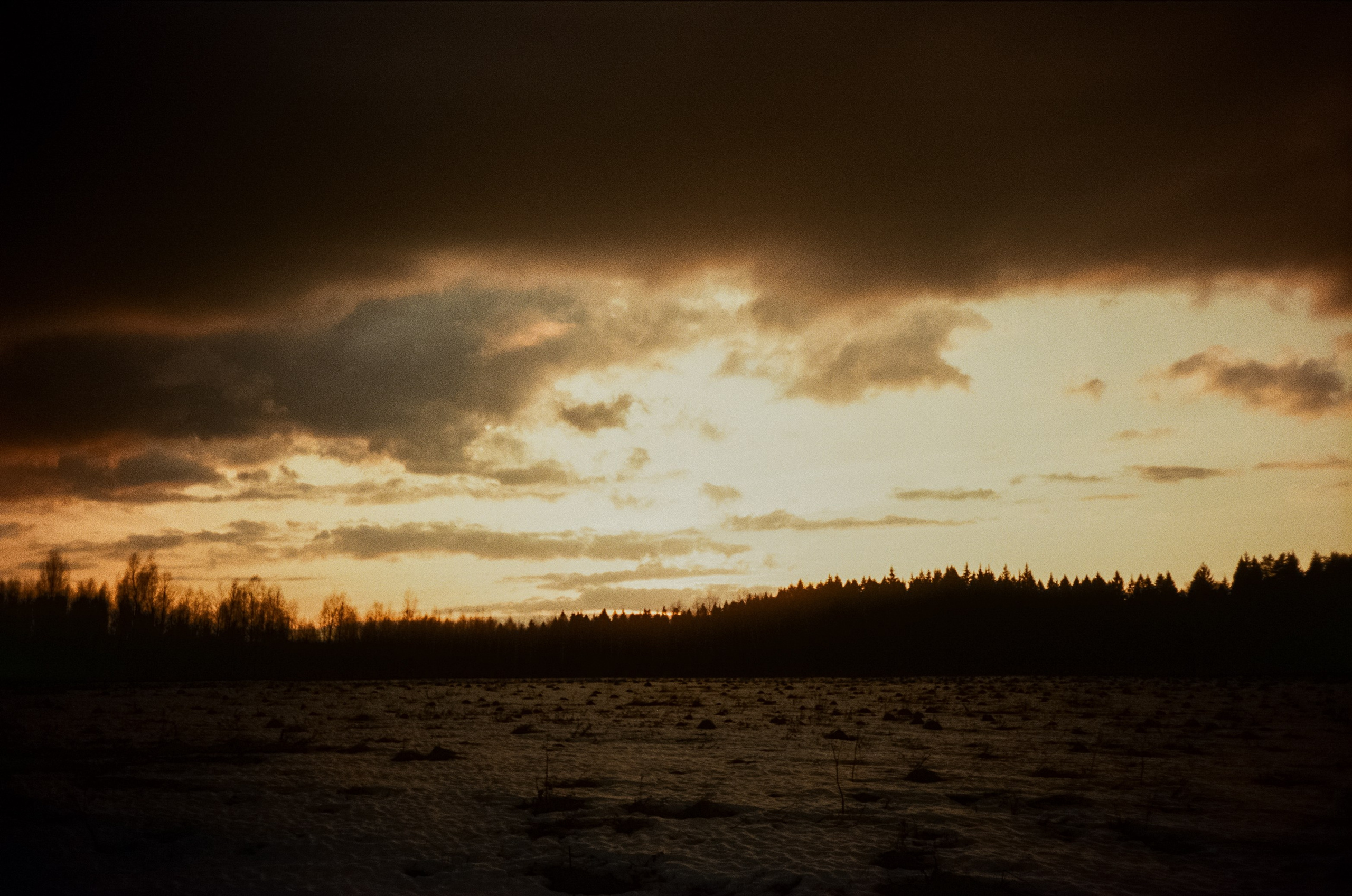 Ricoh FF-300D / Fujifilm X-tra 400 (просрочка) / Лукино март 2024 г