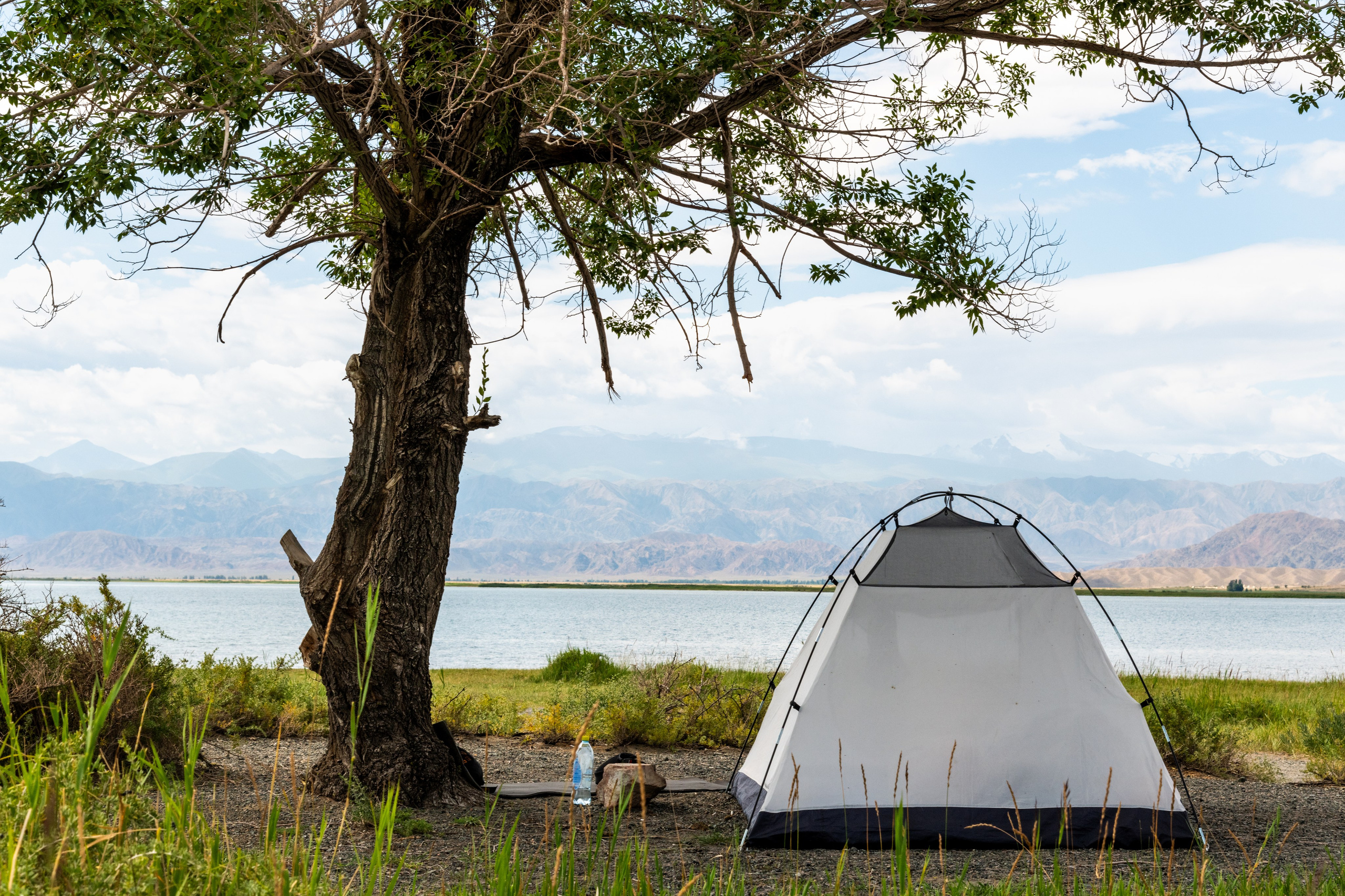 Средняя Азия подборка. Роман Свободный — интерьерная и архитектурная съёмка, Москва и МО