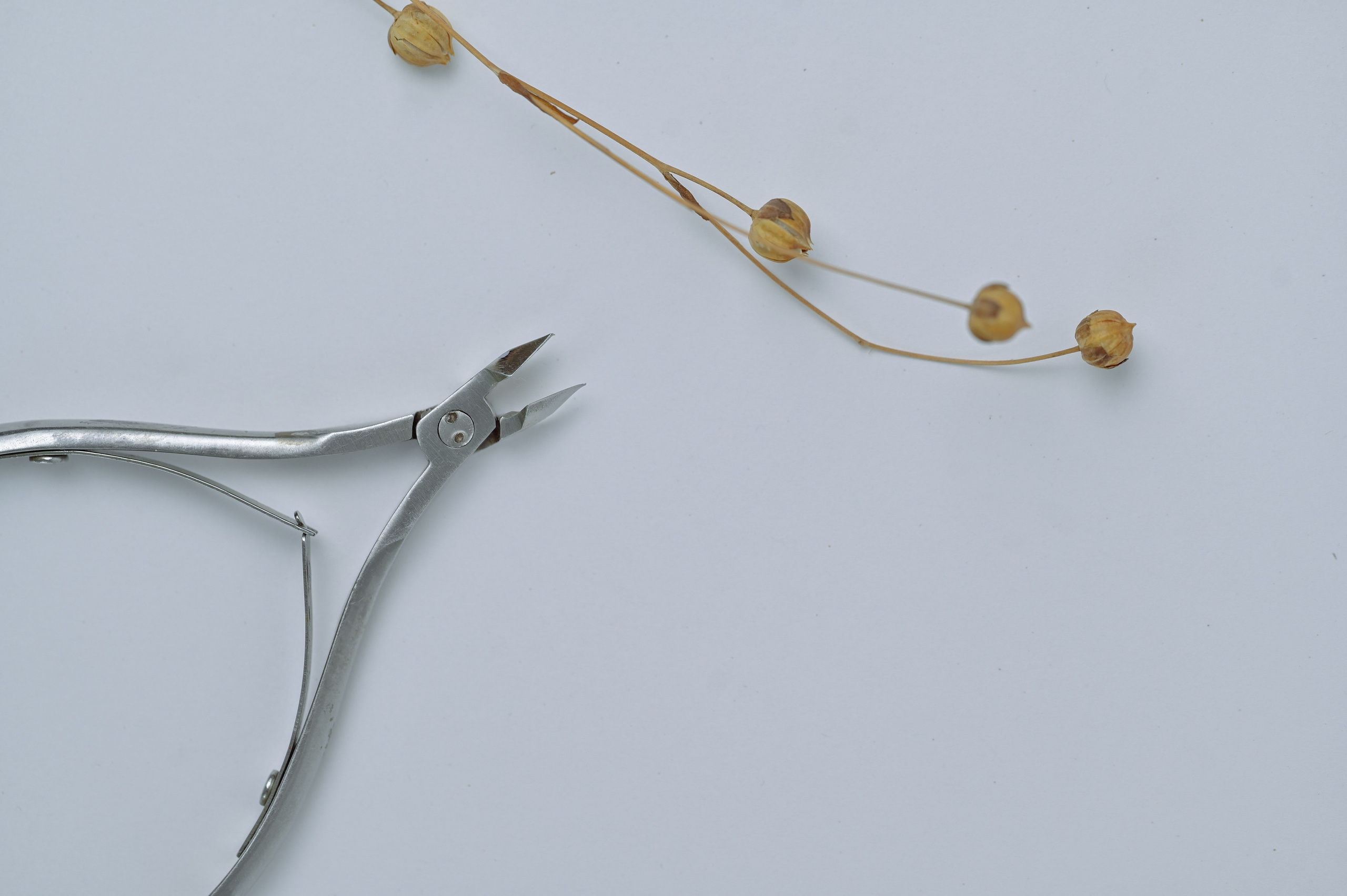 Контентная съёмка для маникюрного салона. Видеооператор и фотограф Таисия Любимова