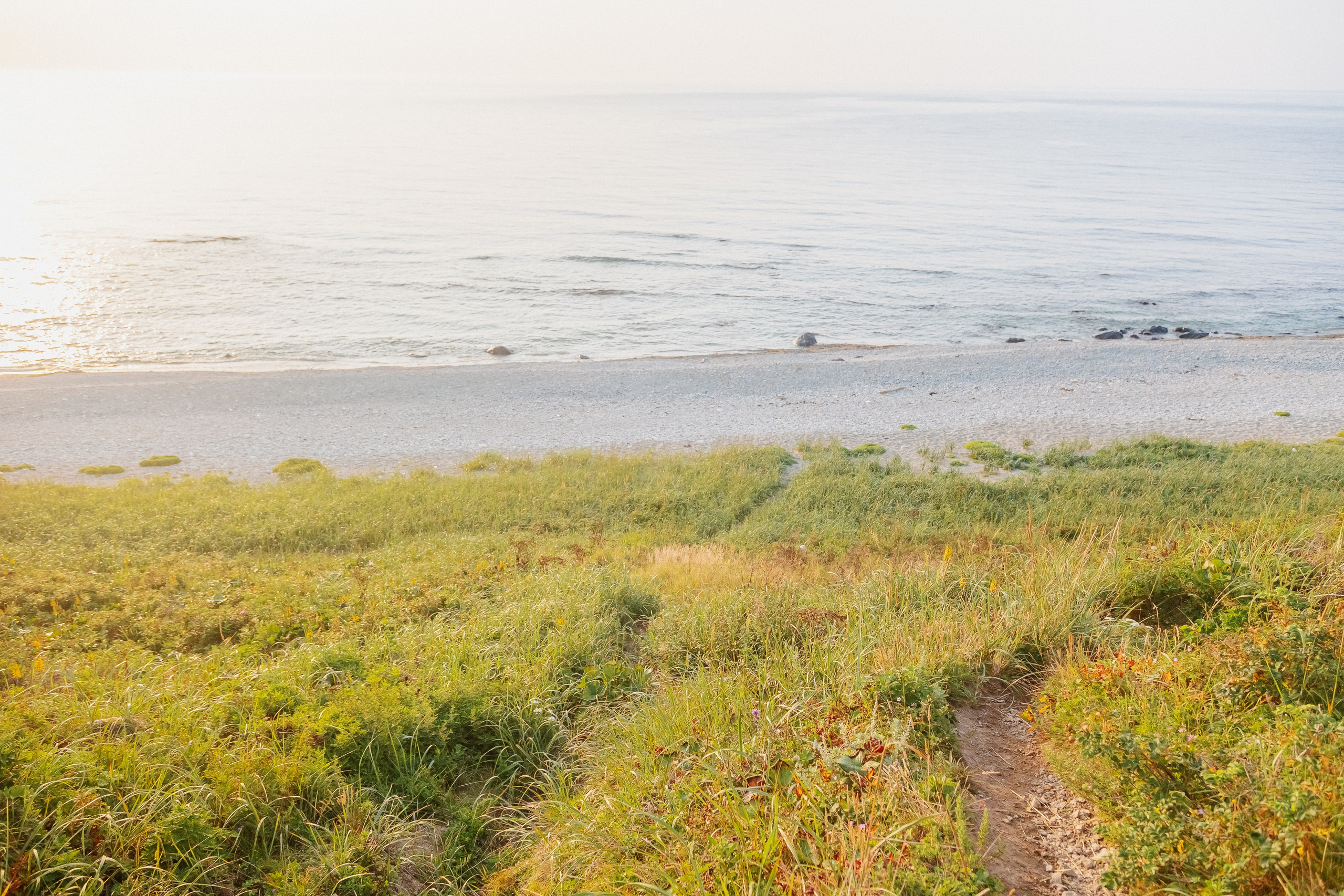 Пока не застроили. Evgeniya Kokurina