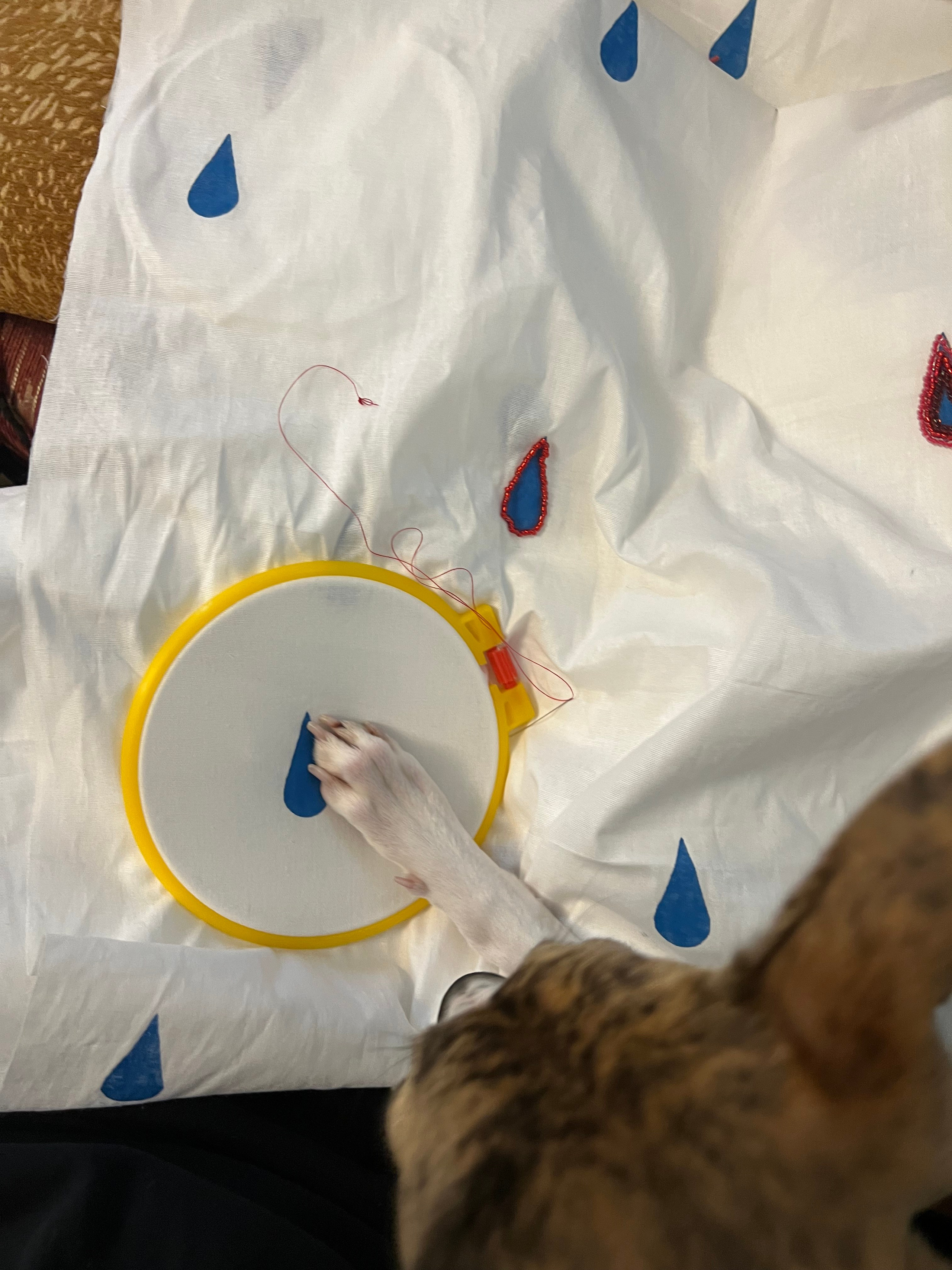 Линогравюры. Собачий художник Поля Стриж