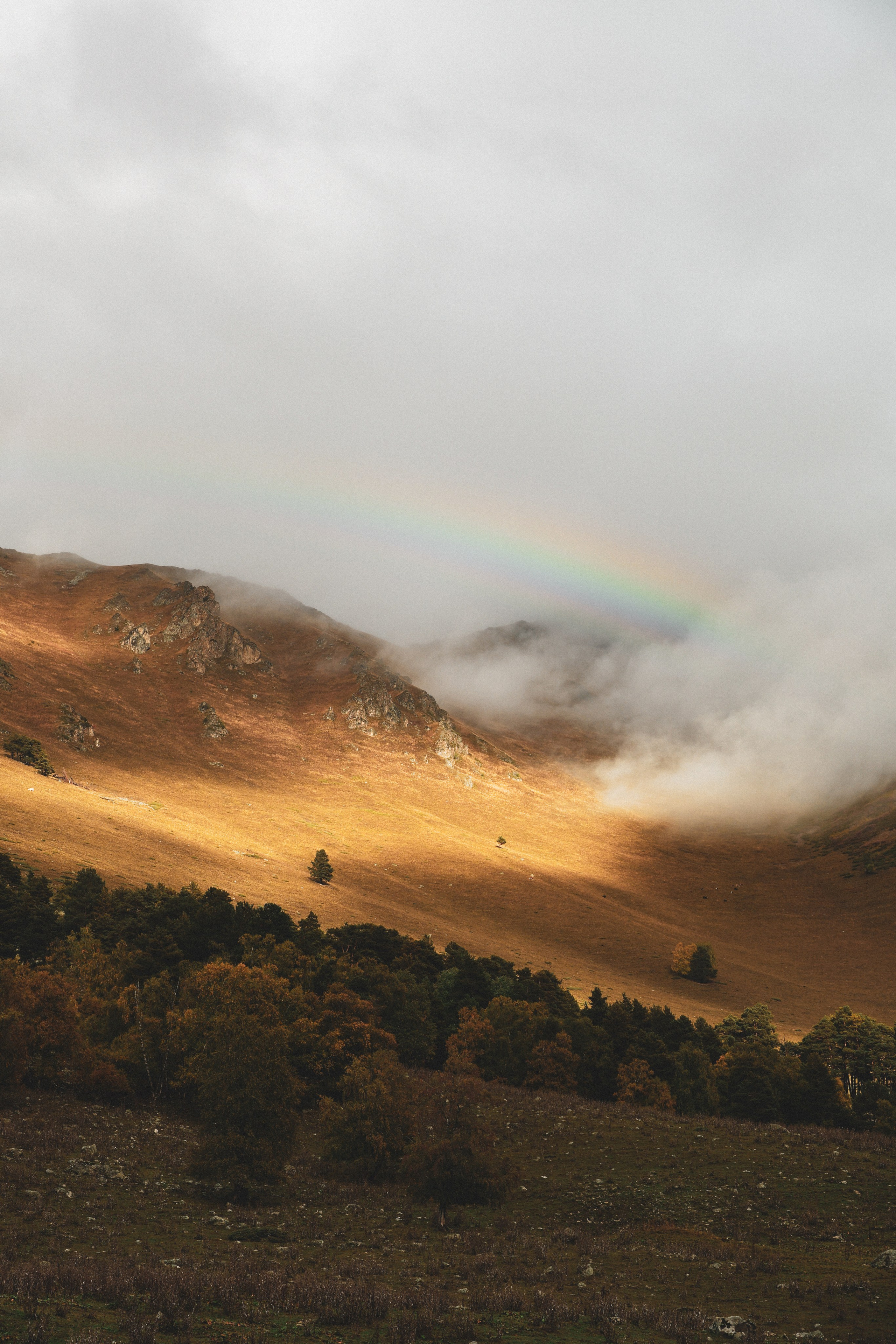 Принты. Марина Горбатова. Фотограф
