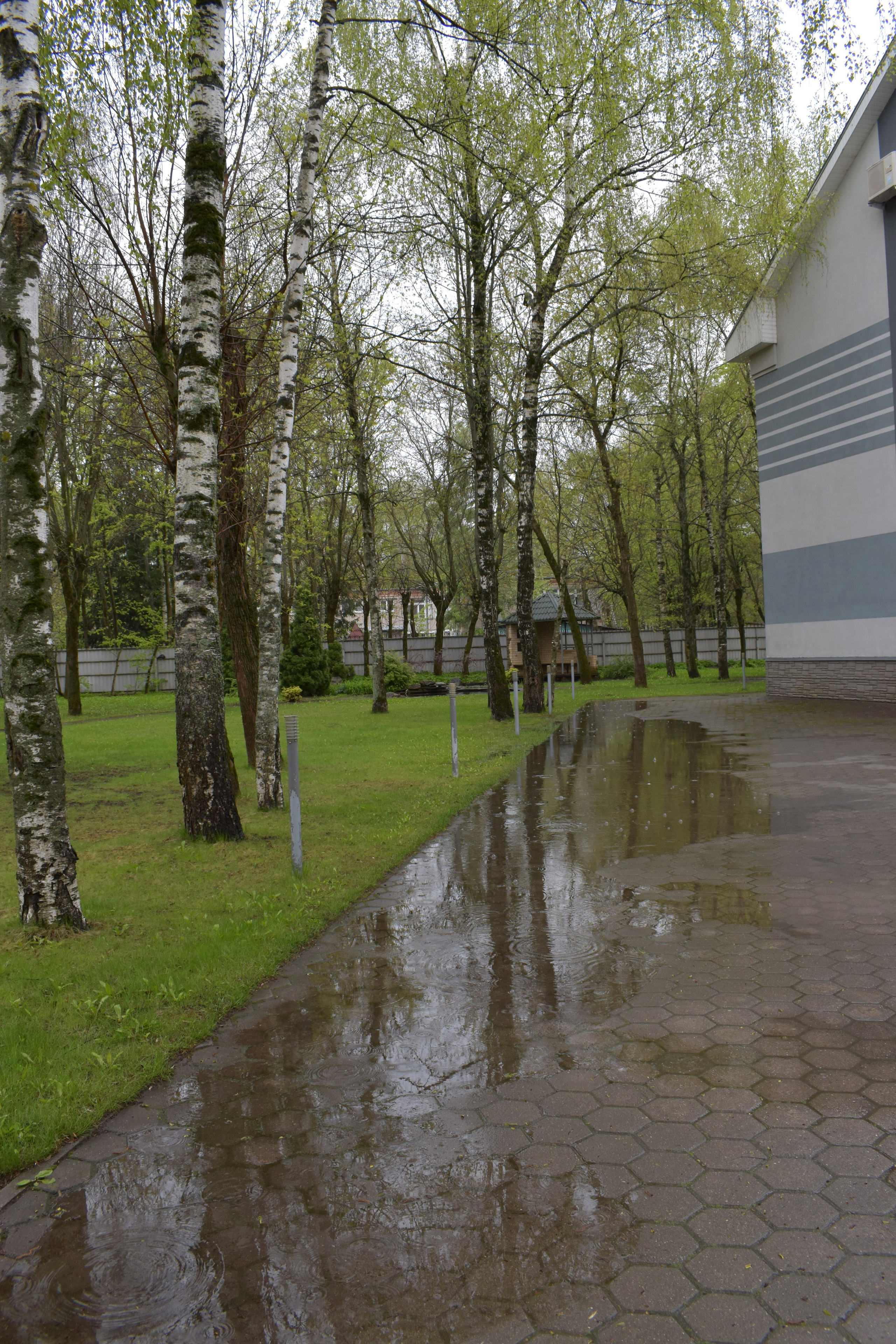 Добрый садовник (в процессе). Микс-медиа художница Надежда Пророкова