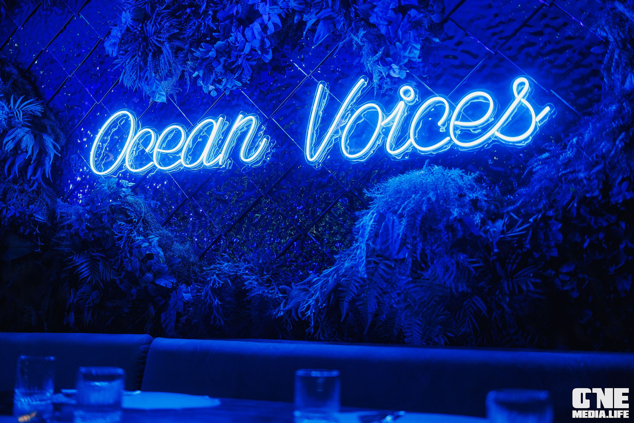 Фоторепортаж из ресторана Океан. One Media Life: фоторепортажи, фотоотчеты с мероприятий и заведений