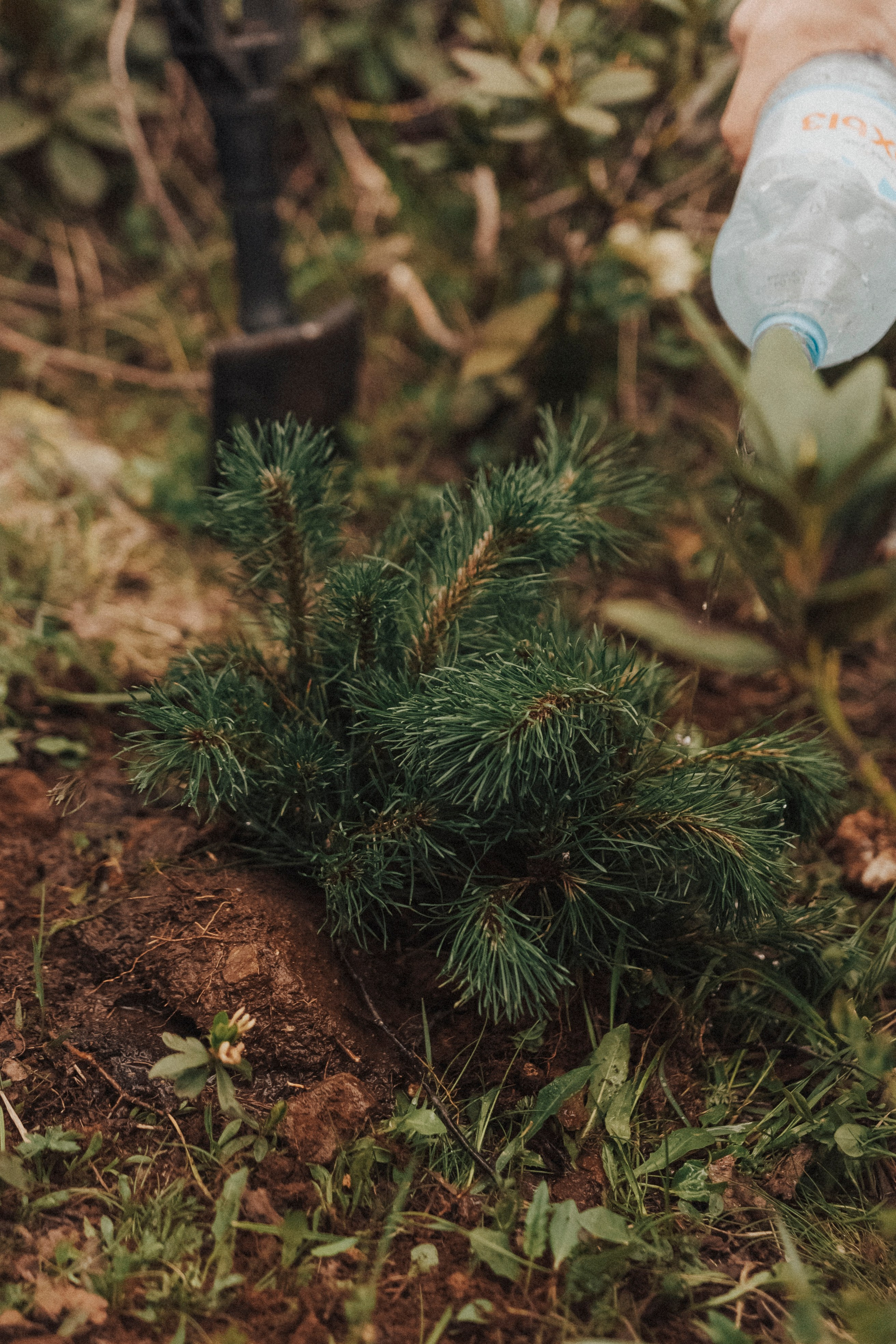 НАША ВЫСОТА 2280. Фотограф Настя Конник | Пятигорск | Эльбрус | Домбай | Архыз | Видеограф КМВ