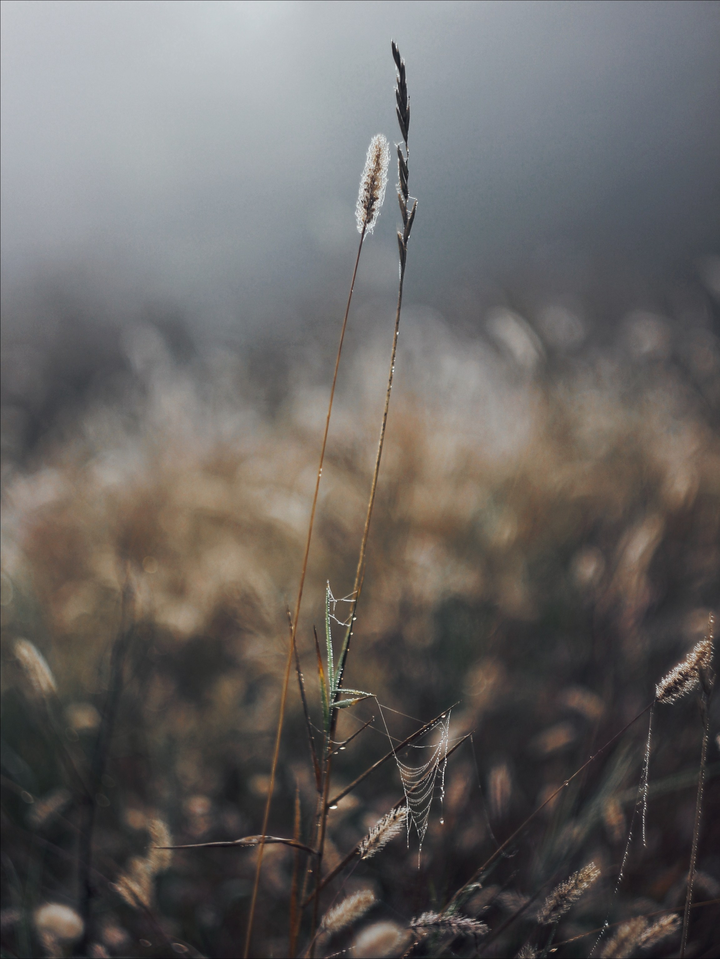 Опустошенность. С любовью, фотохудожник