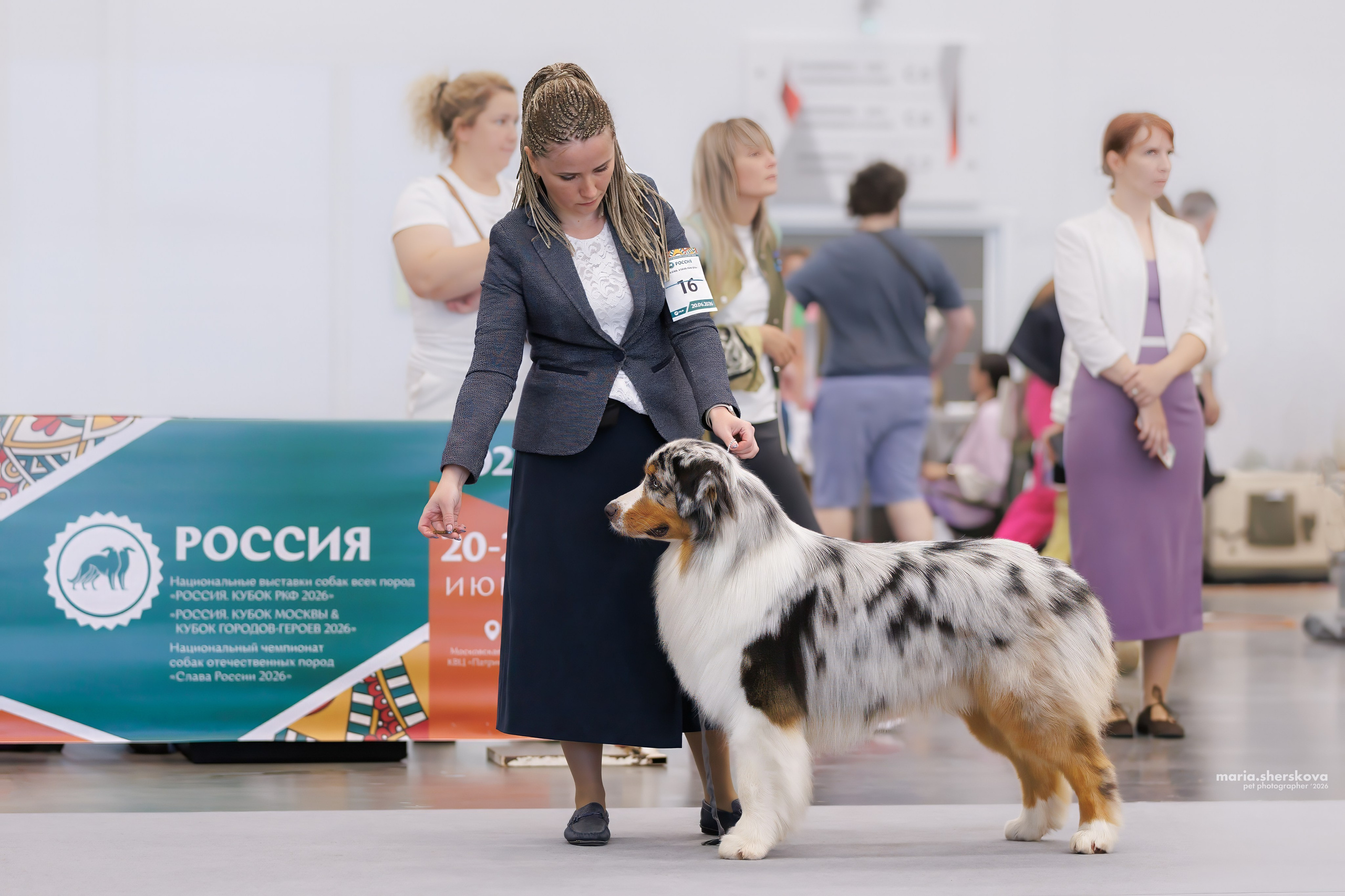 Выставки. Фотограф-анималист в Калуге Мария Шерскова