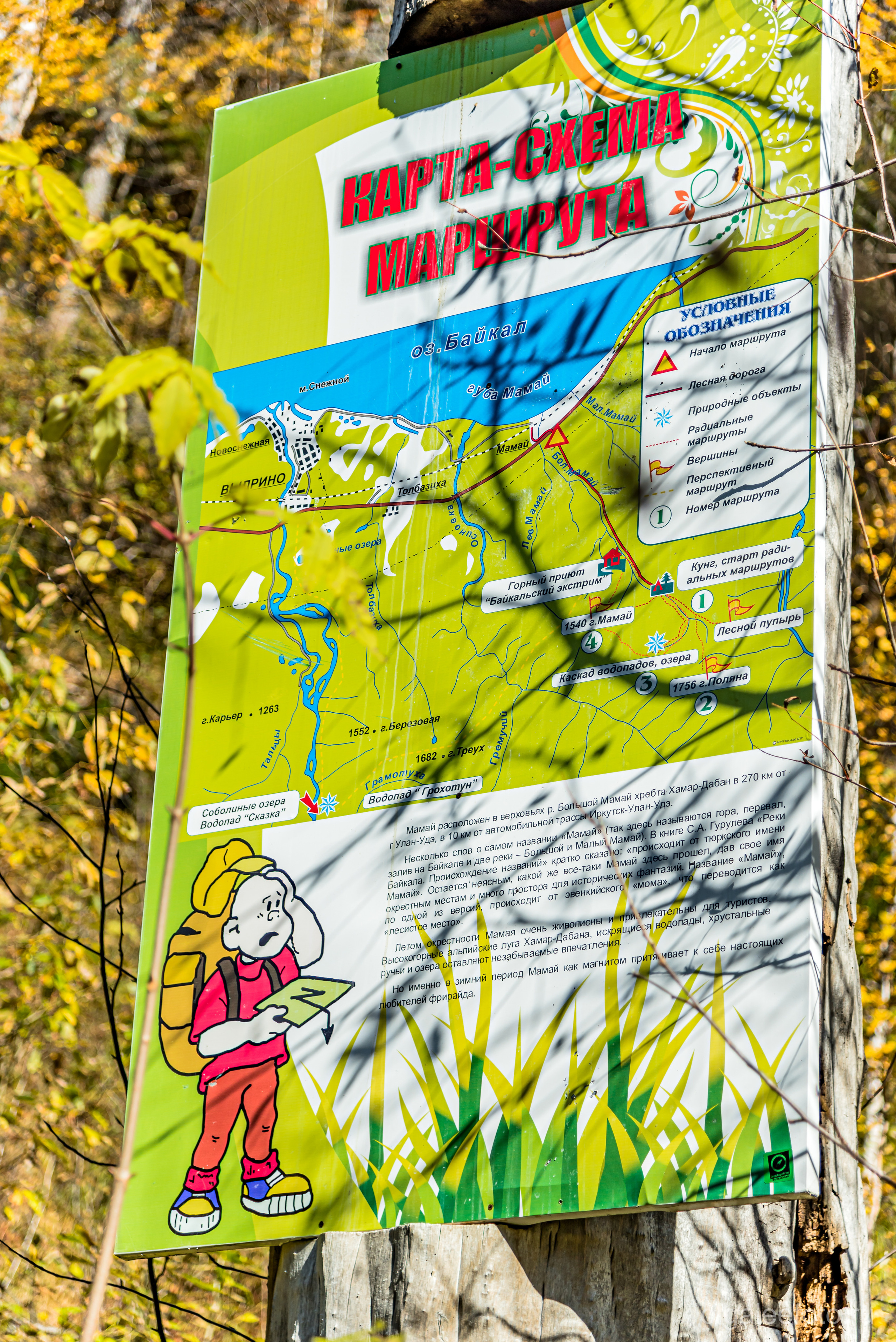 Мамай осенний. Туры на Байкал с фотографом под ключ. Фотосессии на Ольхоне