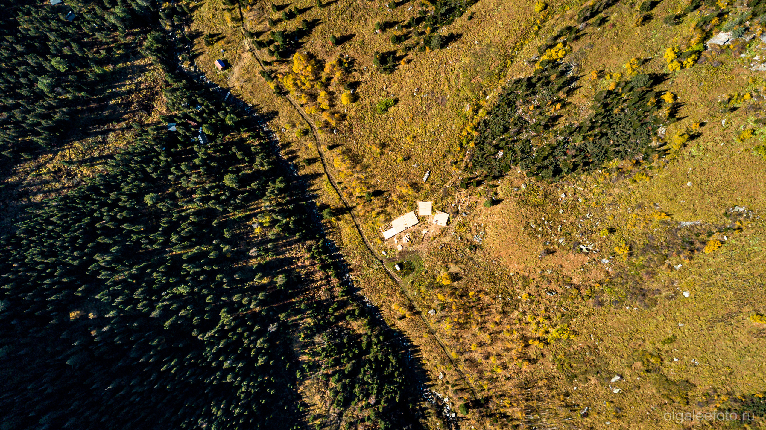 Мамай осенний. Туры на Байкал с фотографом под ключ. Фотосессии на Ольхоне