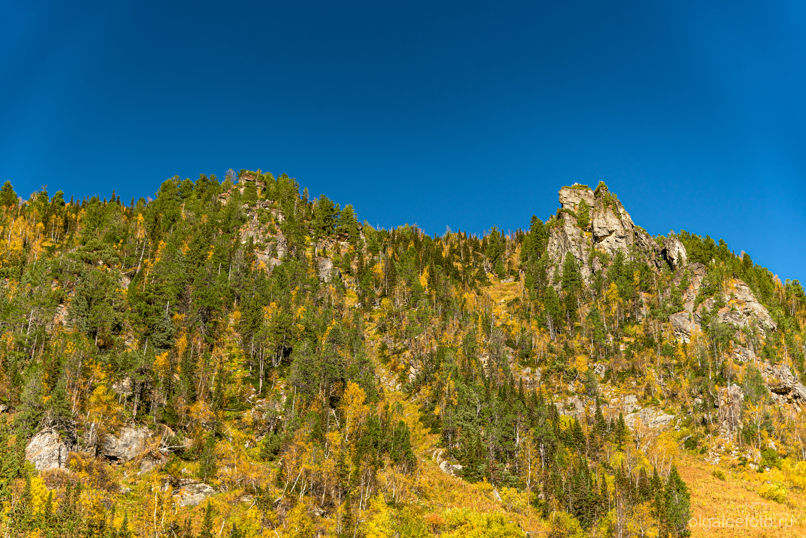 Мамай осенний. Туры на Байкал с фотографом под ключ. Фотосессии на Ольхоне
