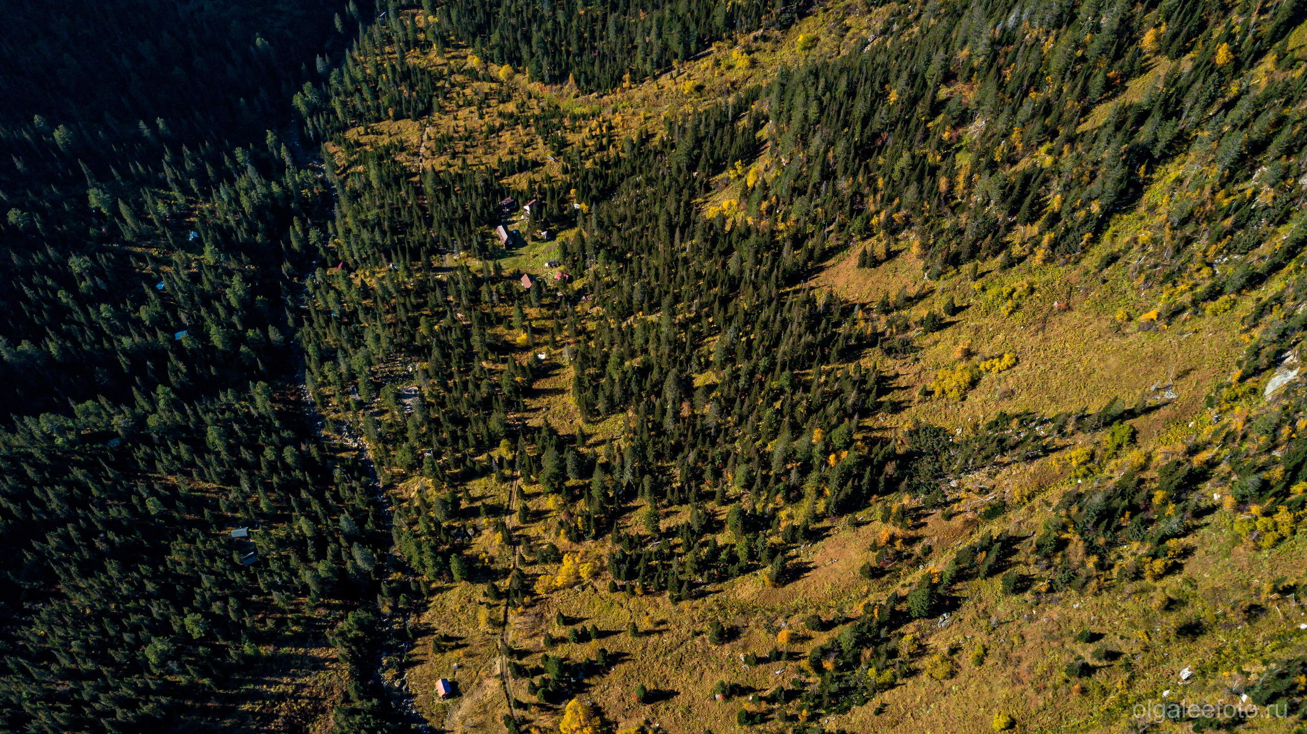 Мамай осенний. Туры на Байкал с фотографом под ключ. Фотосессии на Ольхоне