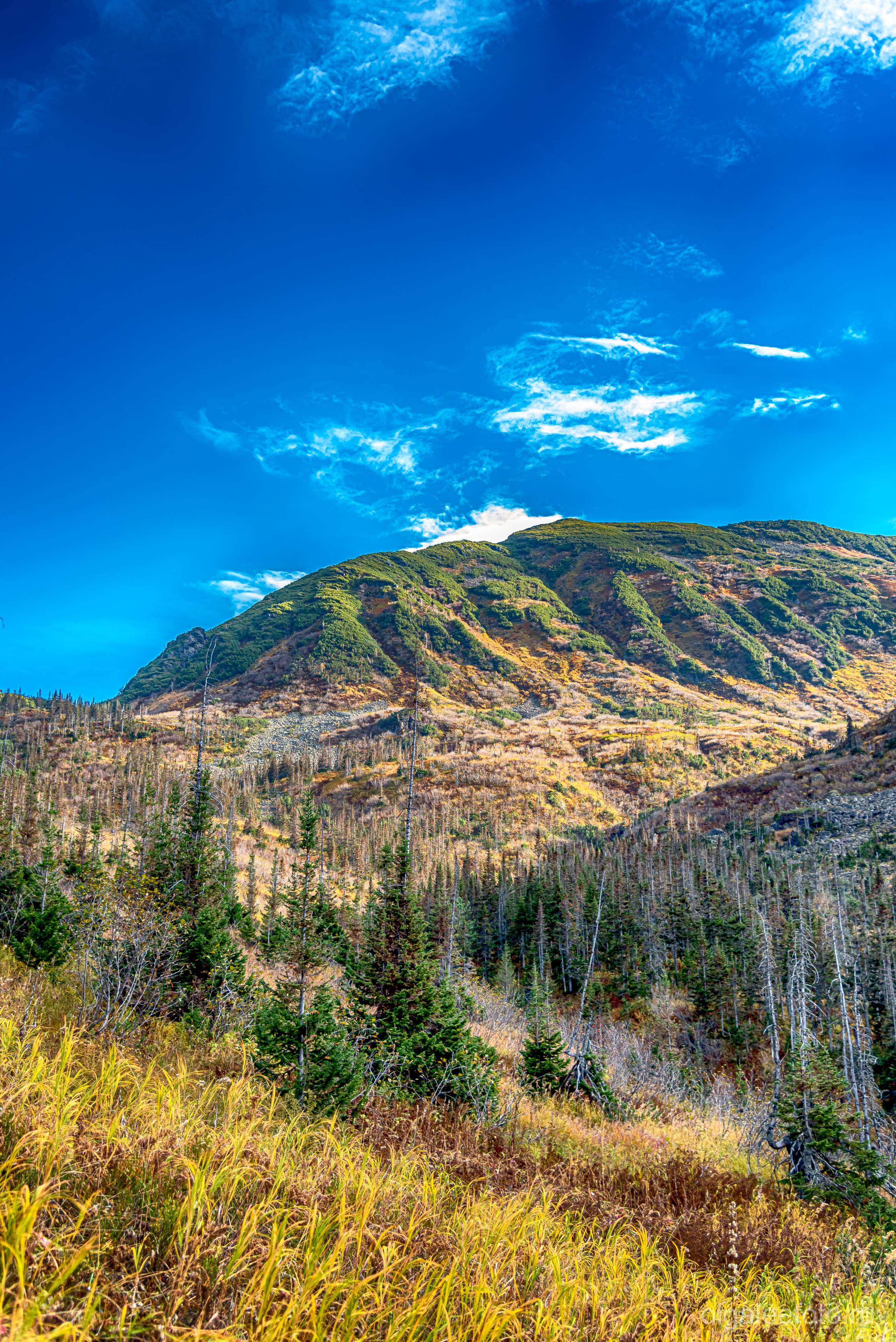 Мамай осенний. Туры на Байкал с фотографом под ключ. Фотосессии на Ольхоне