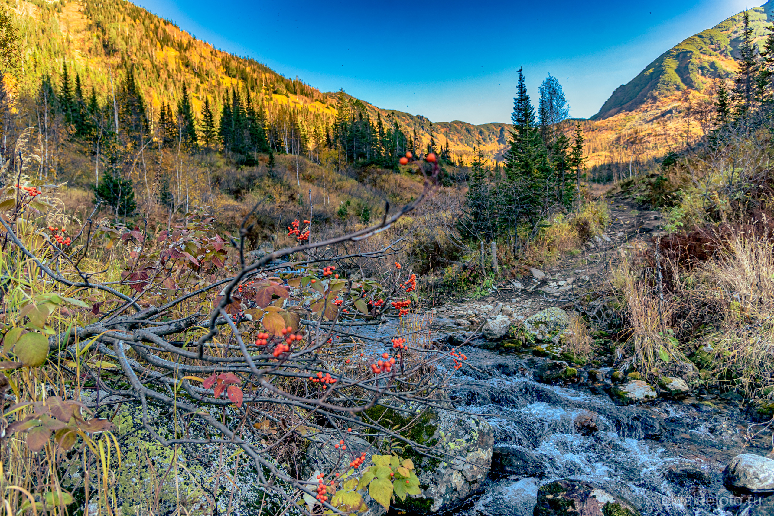 Мамай осенний. Туры на Байкал с фотографом под ключ. Фотосессии на Ольхоне