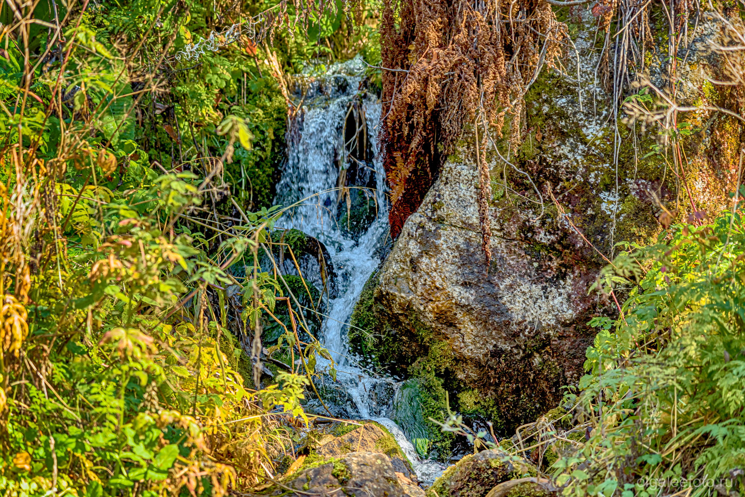 Мамай осенний. Туры на Байкал с фотографом под ключ. Фотосессии на Ольхоне