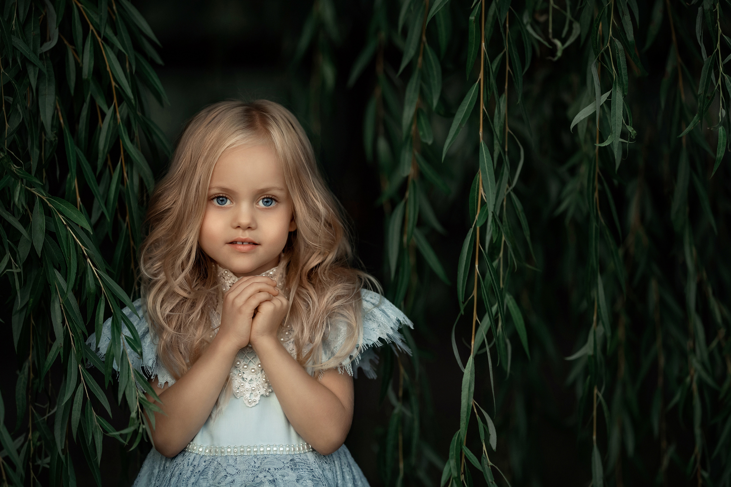 Стоимость. Портфолио