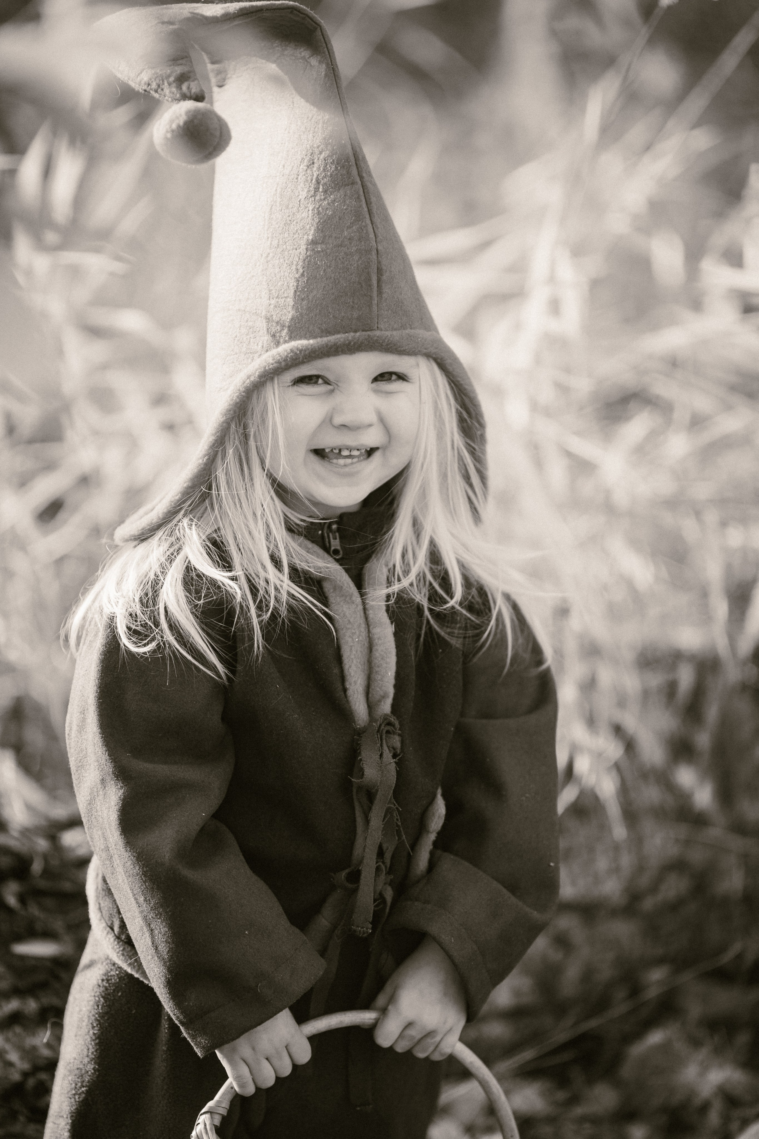 Лесные гномы