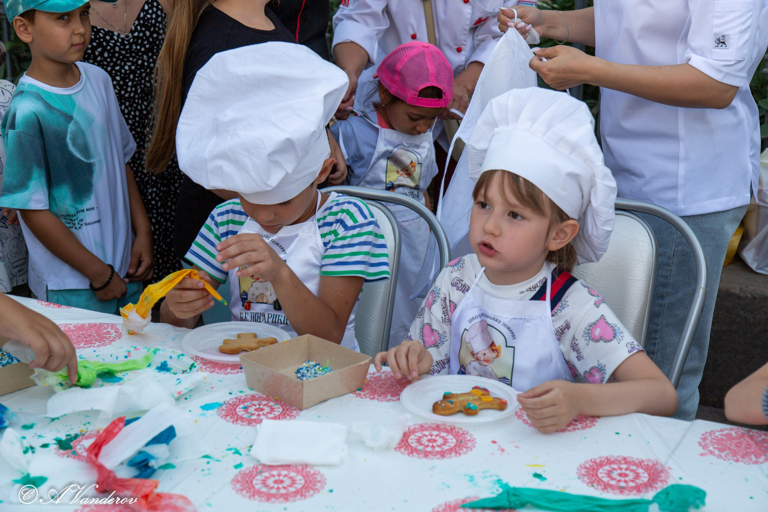 День города 03.08.2024. Фотограф Омск | Александр Вандеров