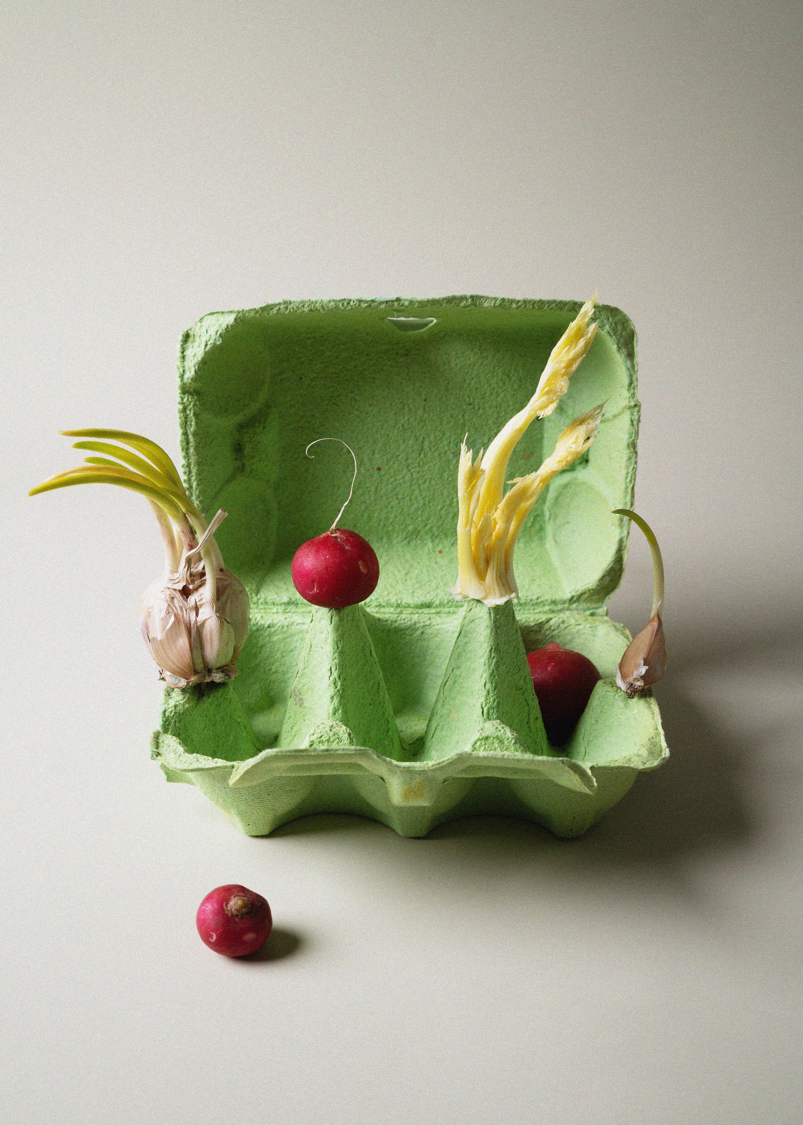 still life photography