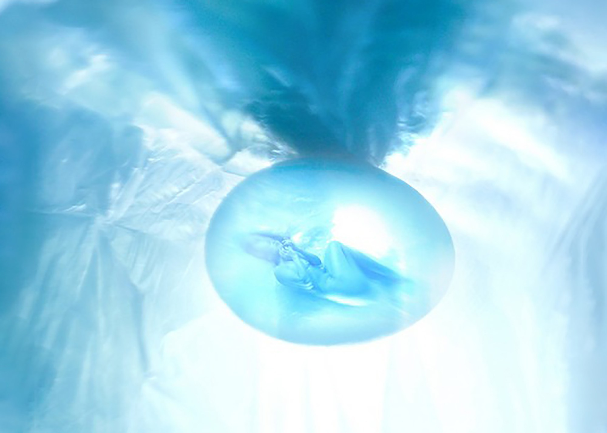 OVO. EKATERINA SHAFIEVA — INTERNATIONAL VISUAL ARTIST