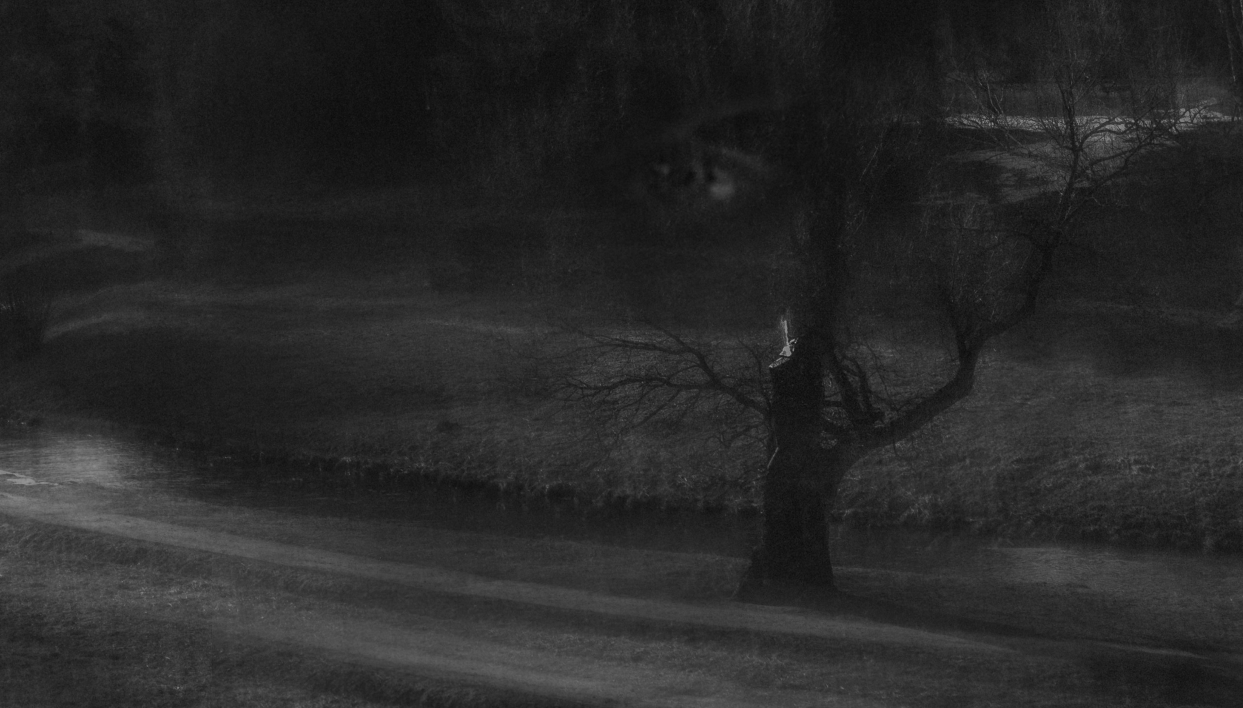 Movement as a myth. Alla Remizova, photographer