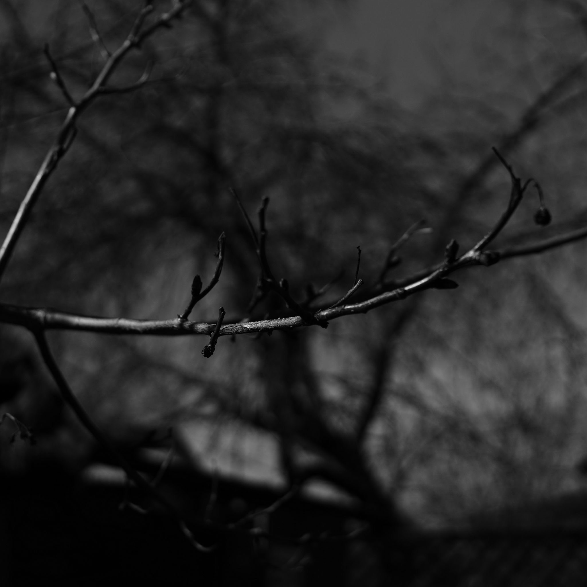 Суздаль, весна в золотом кольце, Кидекша, Путешествие выходного дня