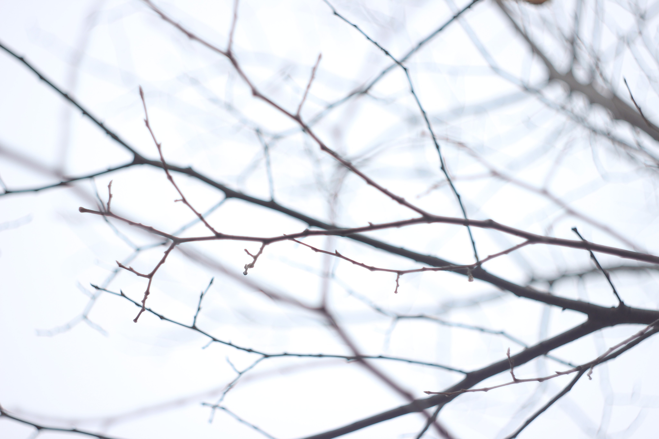 Разбойщина, Саратов, студенческая архитектурная мастерская Евгения Спирина и САСК. Фотокрыжовник. Снимаем, дружим, путешествуем