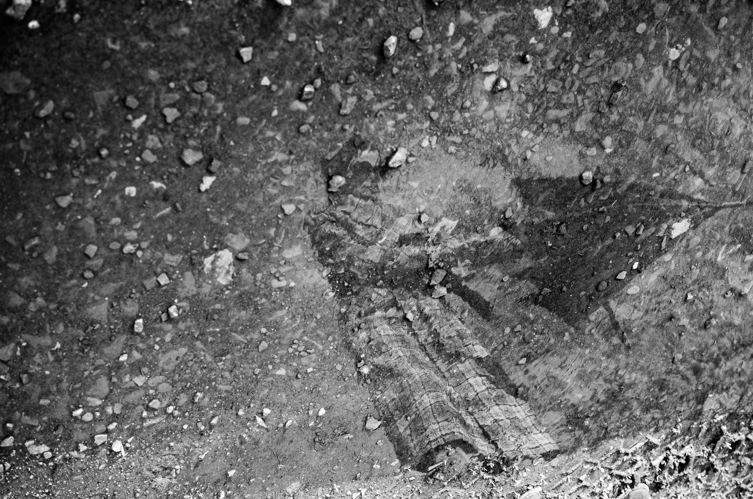 Семейный фотограф в Ростове-на-Дону. Мероприятия, крещение. Екатерина Балецкая