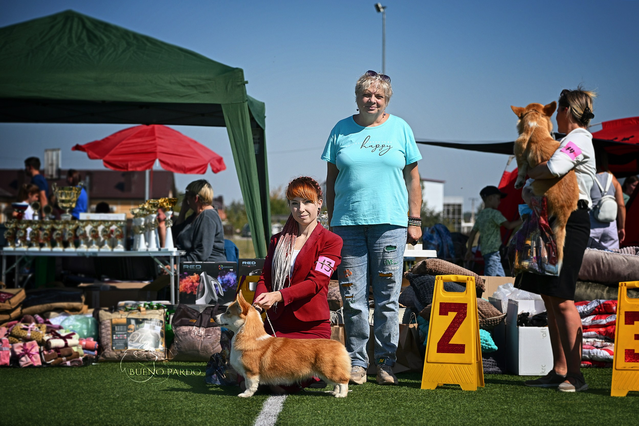 КОРГИ. Kawaii Kuma питомник собак пород Корги пемброк, Акита ину, Сиба