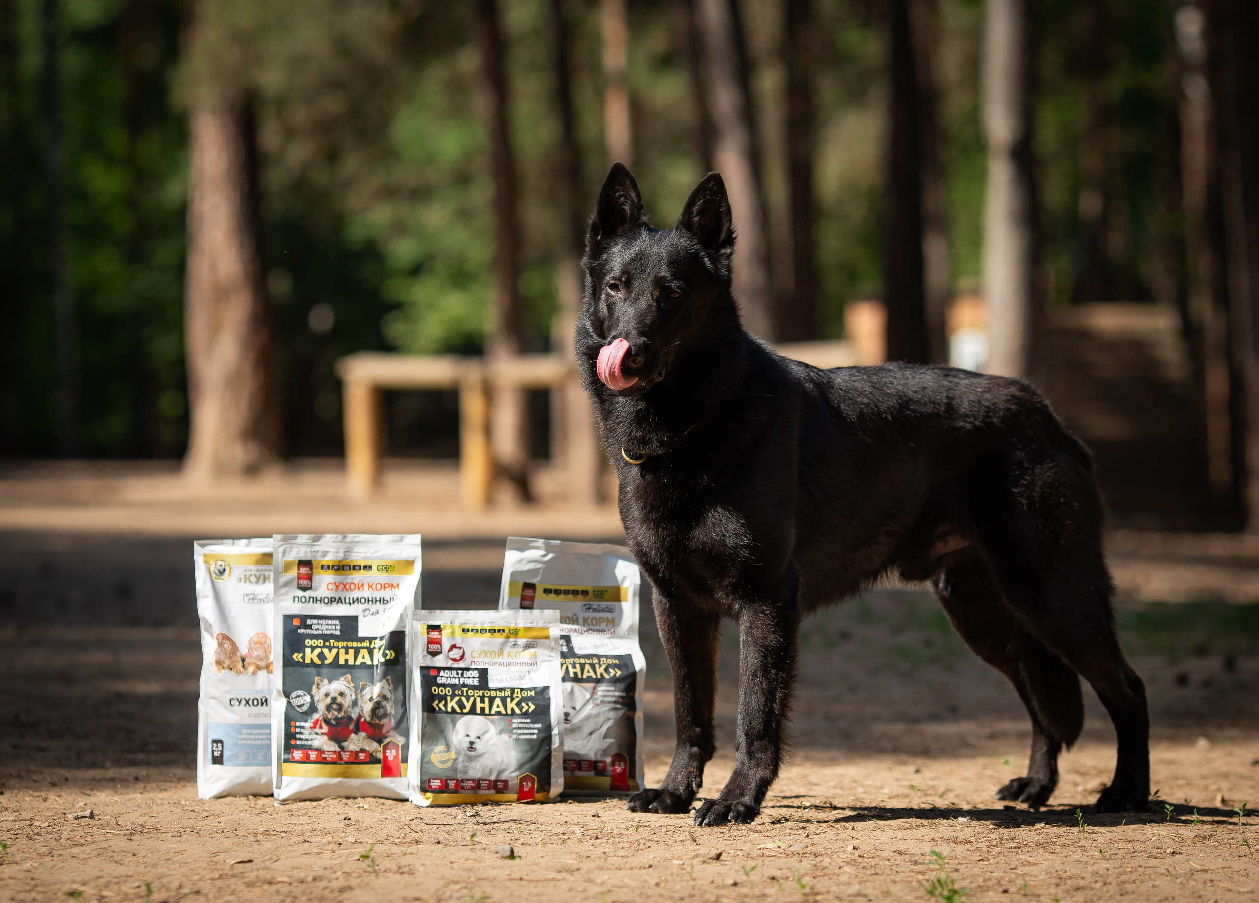 Фотограф Анималист в Перми Анастасия Остерман