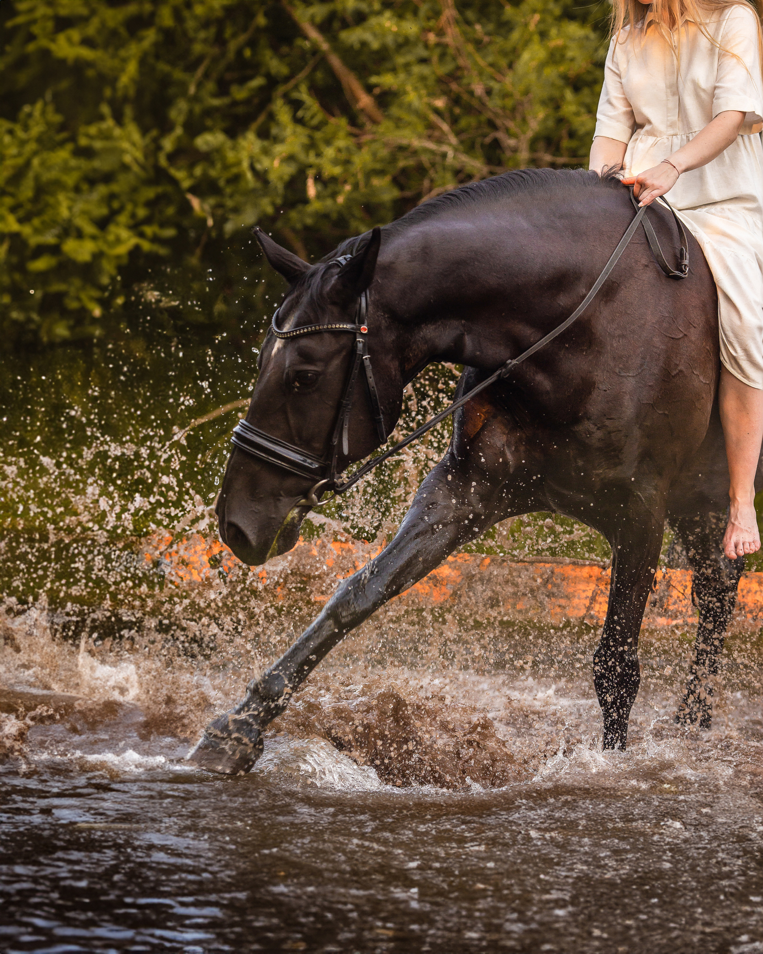 Фотограф Анималист в Перми Анастасия Остерман