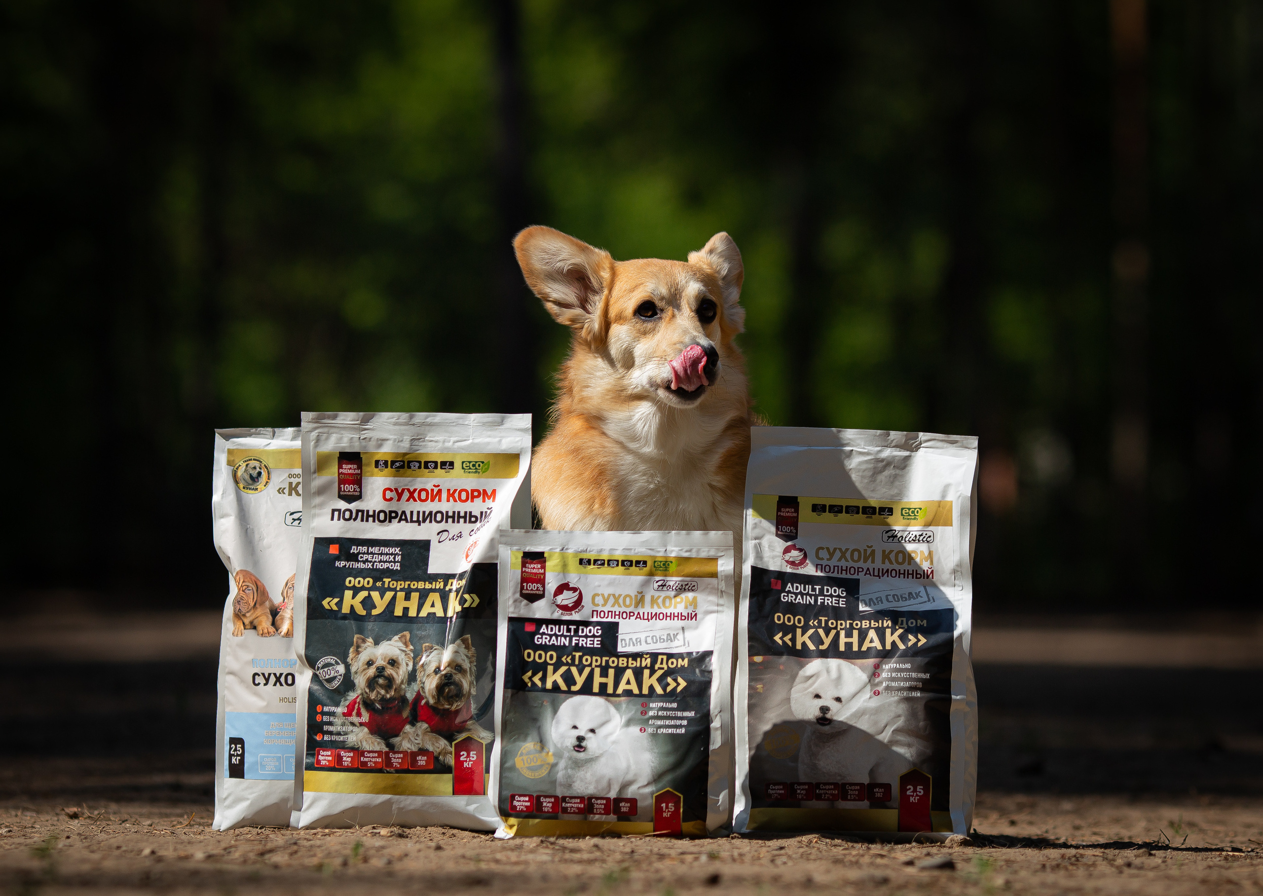 Фотограф Анималист в Перми Анастасия Остерман