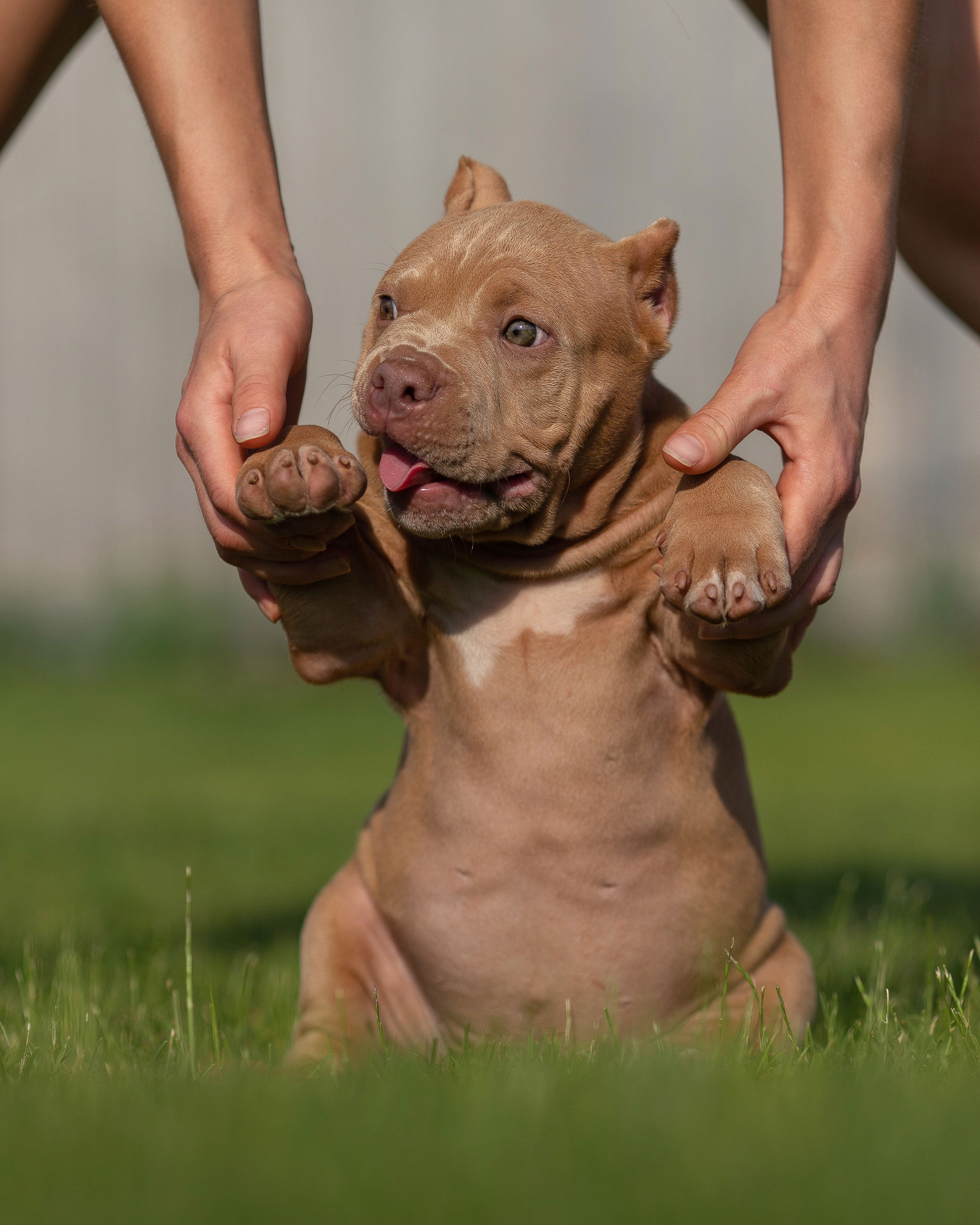 Фотограф Анималист в Перми Анастасия Остерман