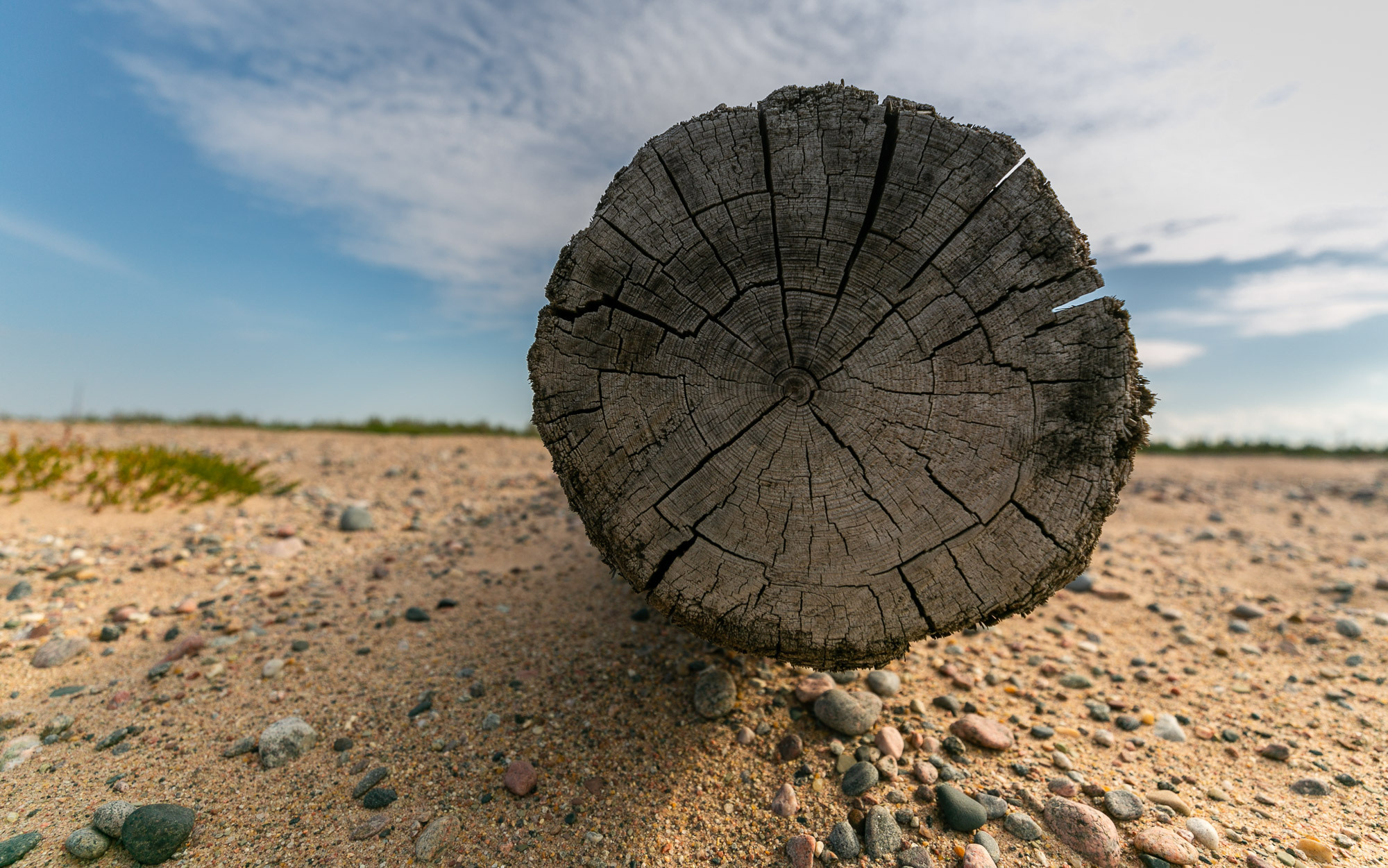 Жёнки по морю гуляли. Село Нёнокса. Фотограф — путешественник Светлана Романовская